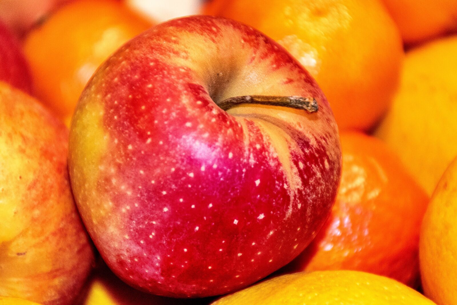 Nikon D5600 sample photo. Apple, fruit, orange photography