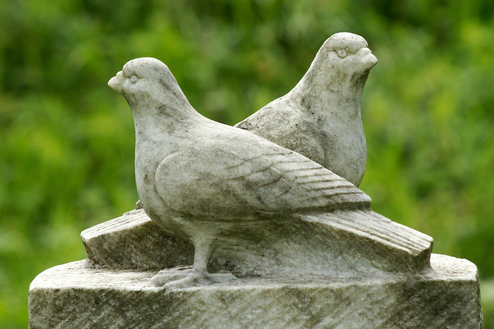 Sony Alpha DSLR-A700 sample photo. Pigeons, sculpture, stone photography