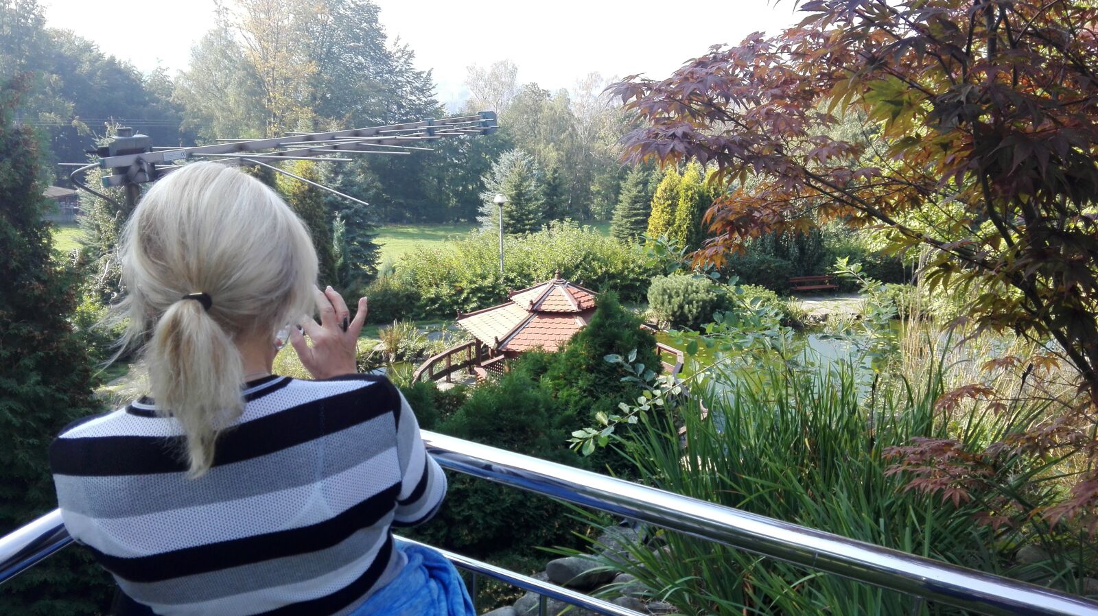 HUAWEI P8 Lite sample photo. Garden, hotel, person photography