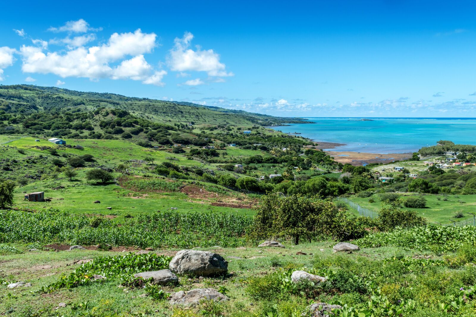 Nikon D3200 sample photo. Landscape, grass, nature photography