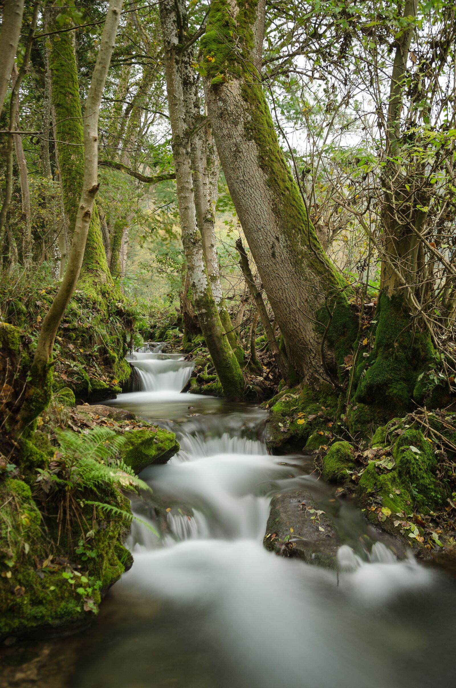 Nikon D5100 sample photo. Bad urach, germany, river photography
