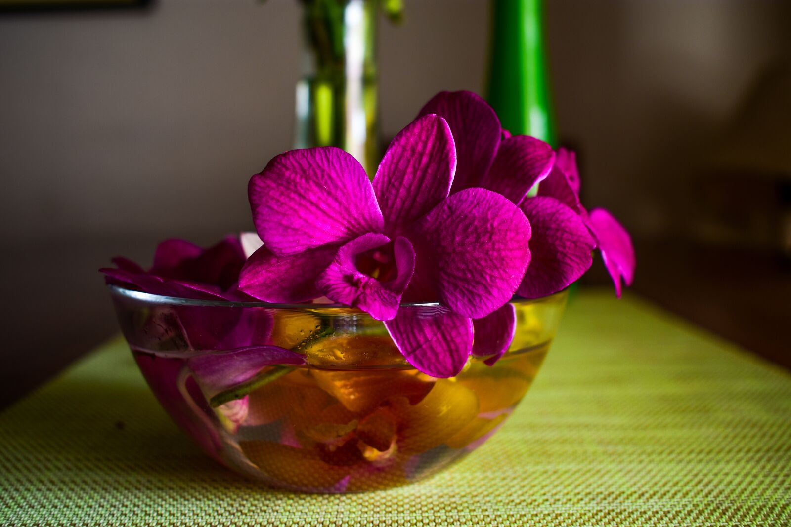 Nikon D3400 sample photo. Flower, plant photography