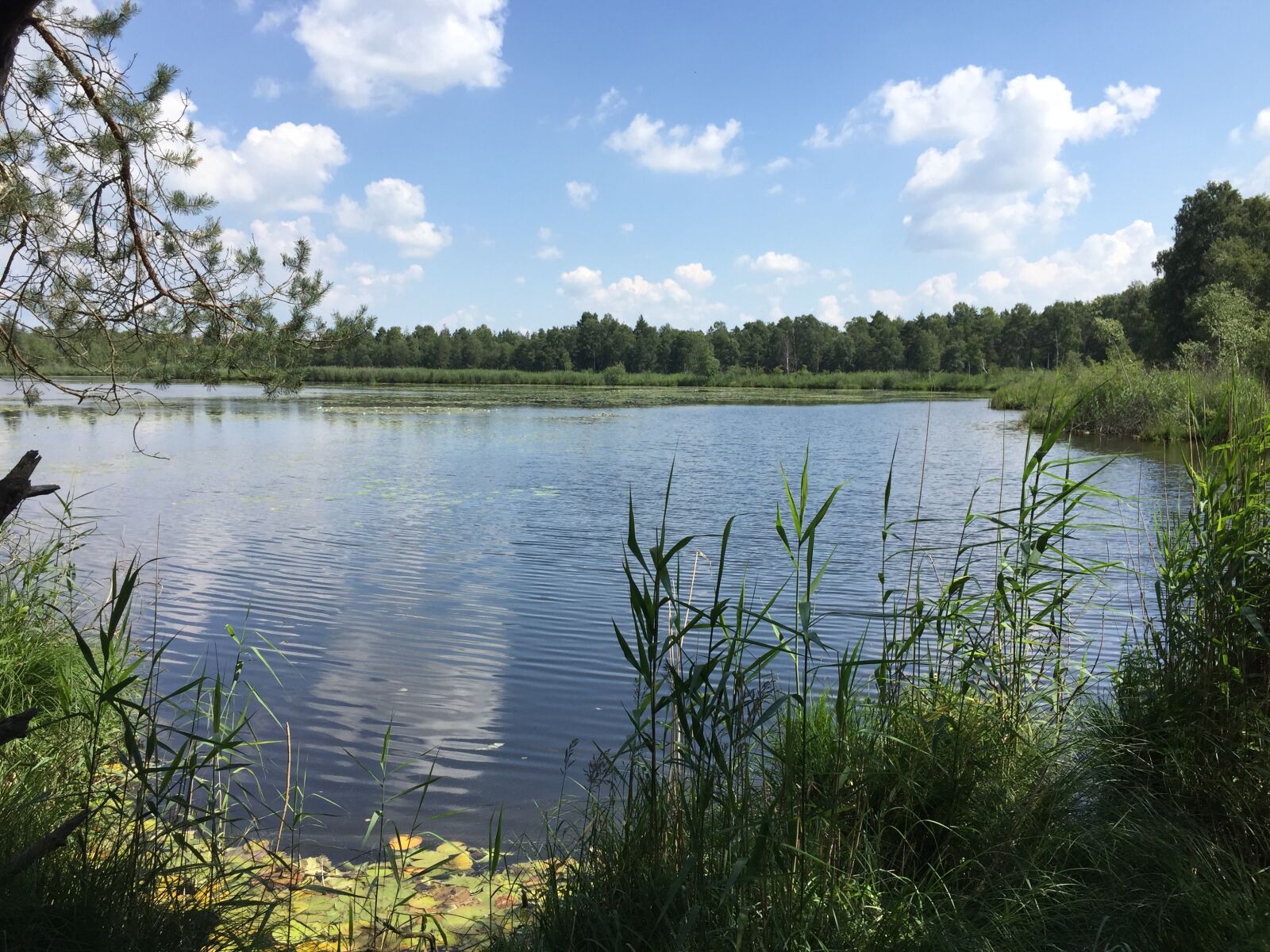 Apple iPhone 6 sample photo. Natur, see, wolken photography