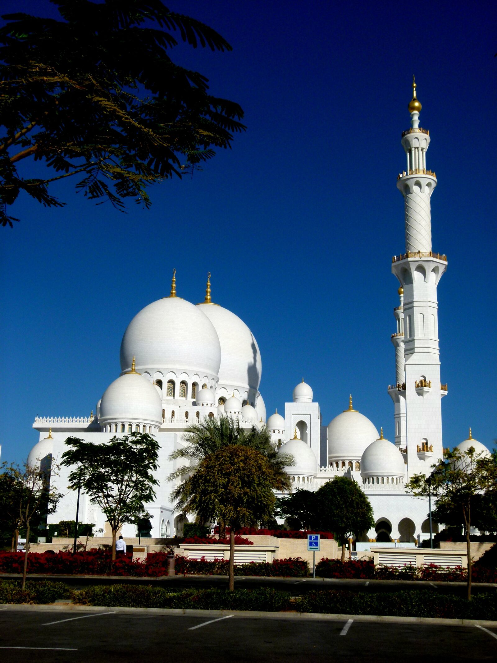 Panasonic Lumix DMC-FZ100 sample photo. Abudhabi, mosque, building photography