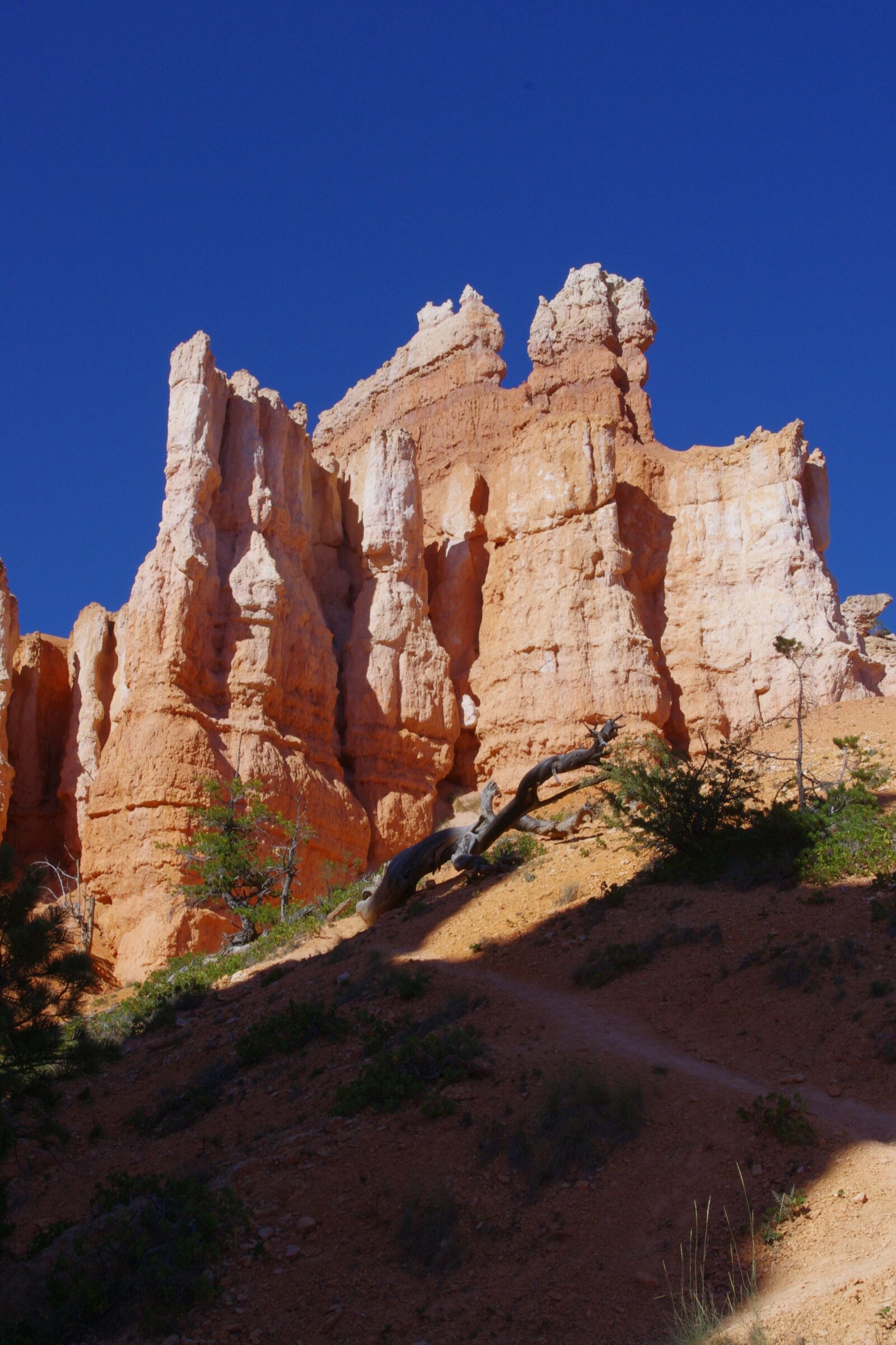Pentax K-x sample photo. Bryce, canyon, rock photography