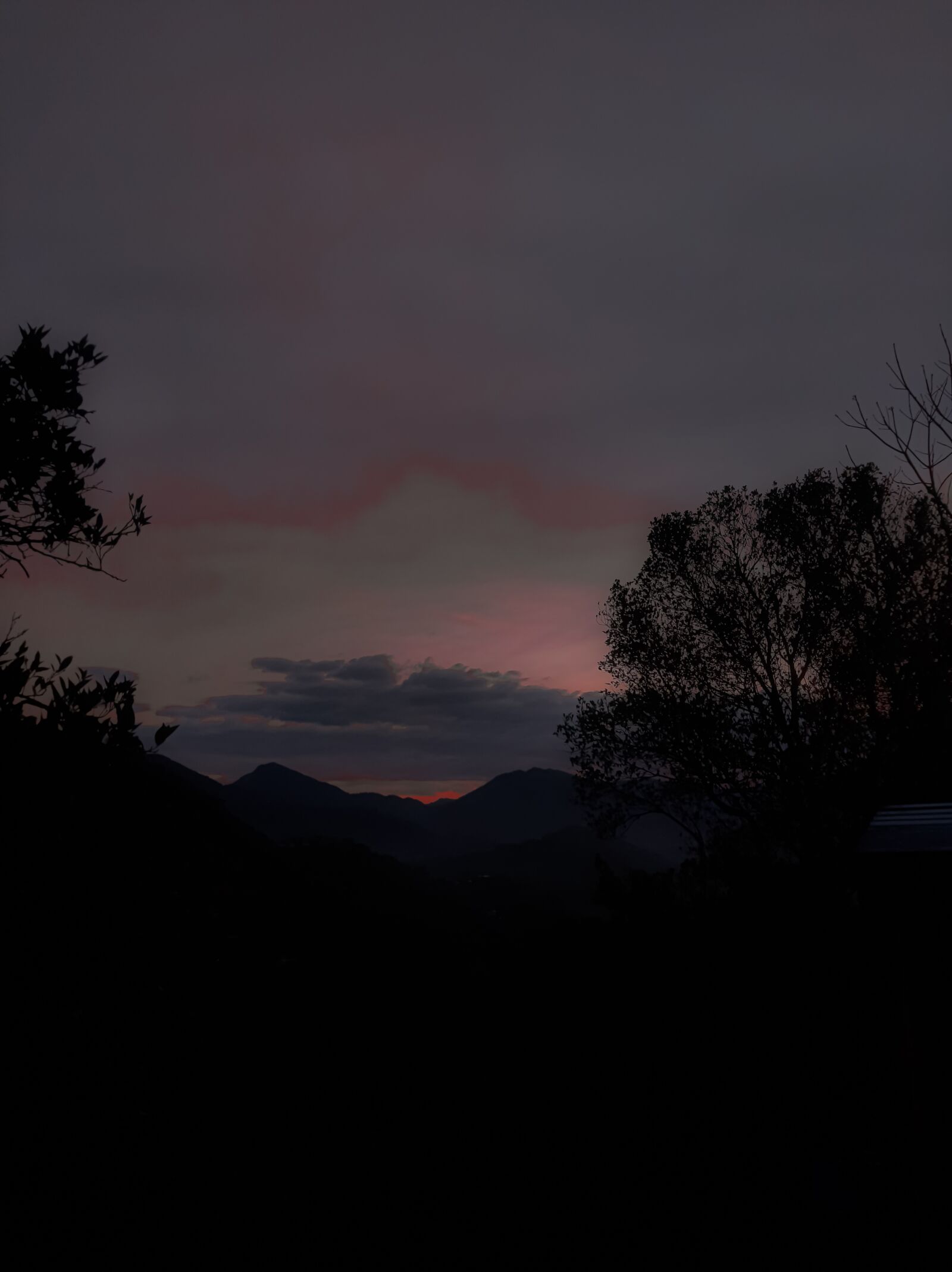 Samsung Galaxy A50 sample photo. Sunset, evening, nature photography