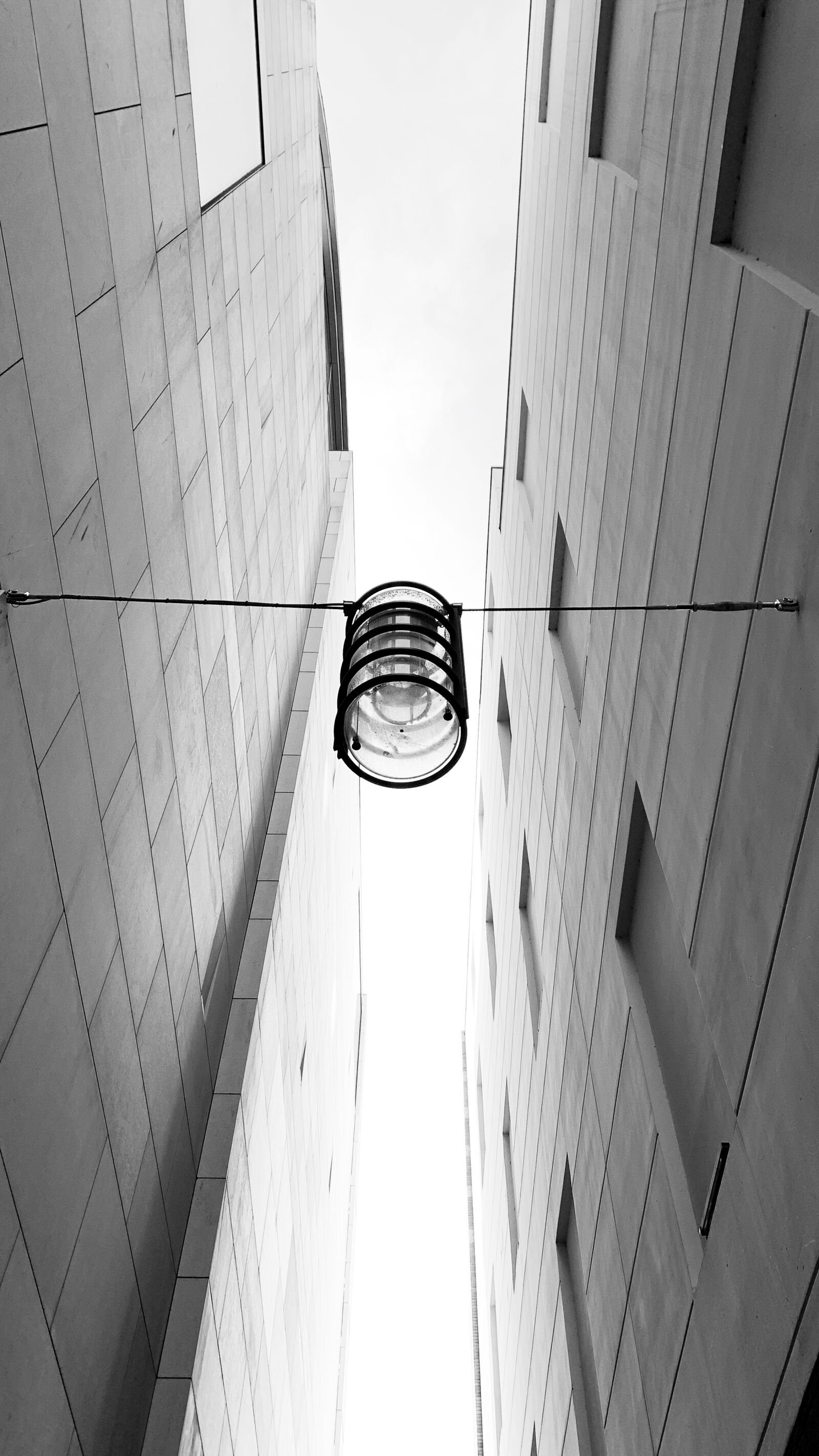 Apple iPhone XR sample photo. Rose, amsterdam, street photography
