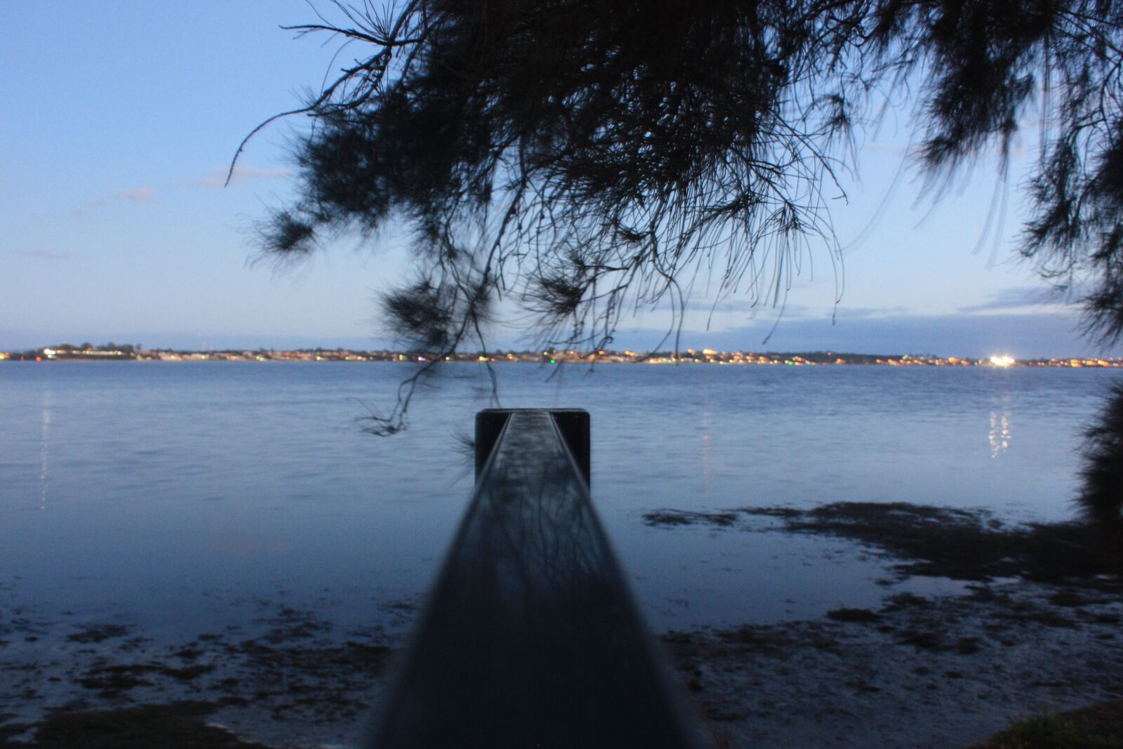 Canon EOS 450D (EOS Rebel XSi / EOS Kiss X2) sample photo. Tree, jetty, river photography