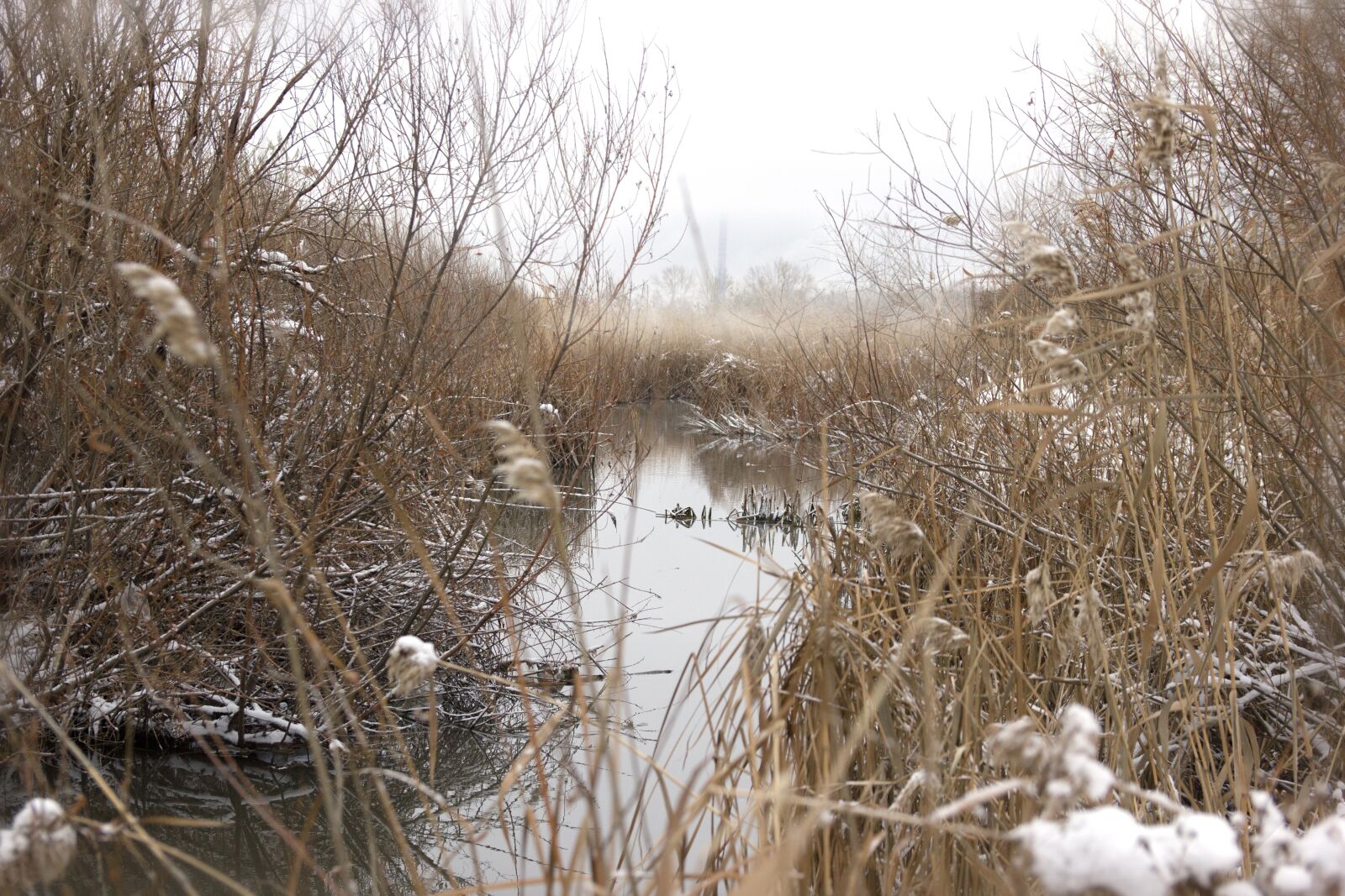 Canon EOS 550D (EOS Rebel T2i / EOS Kiss X4) sample photo. Pond, fog, autumn photography