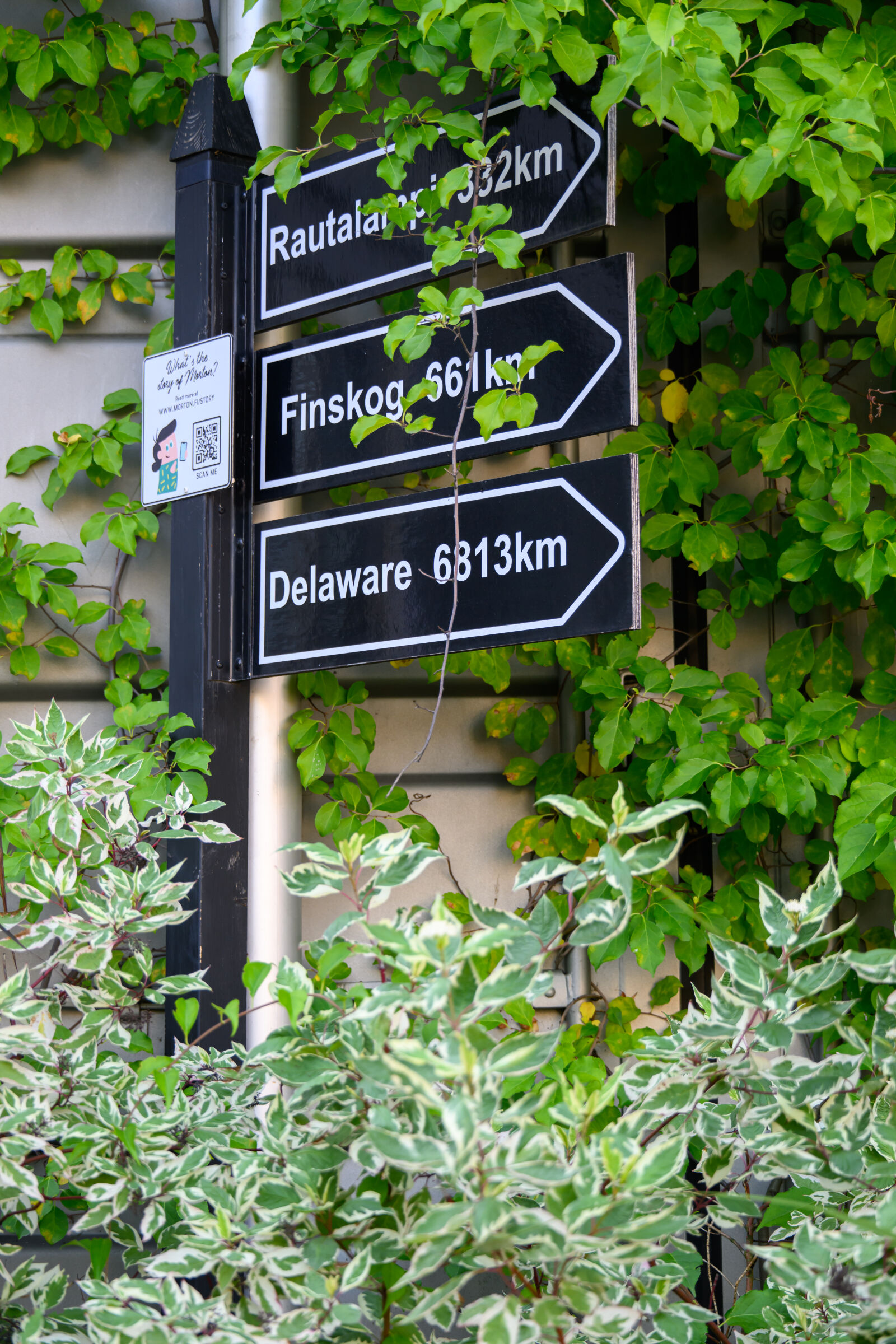 Nikon Z8 sample photo. Overgrown sign photography