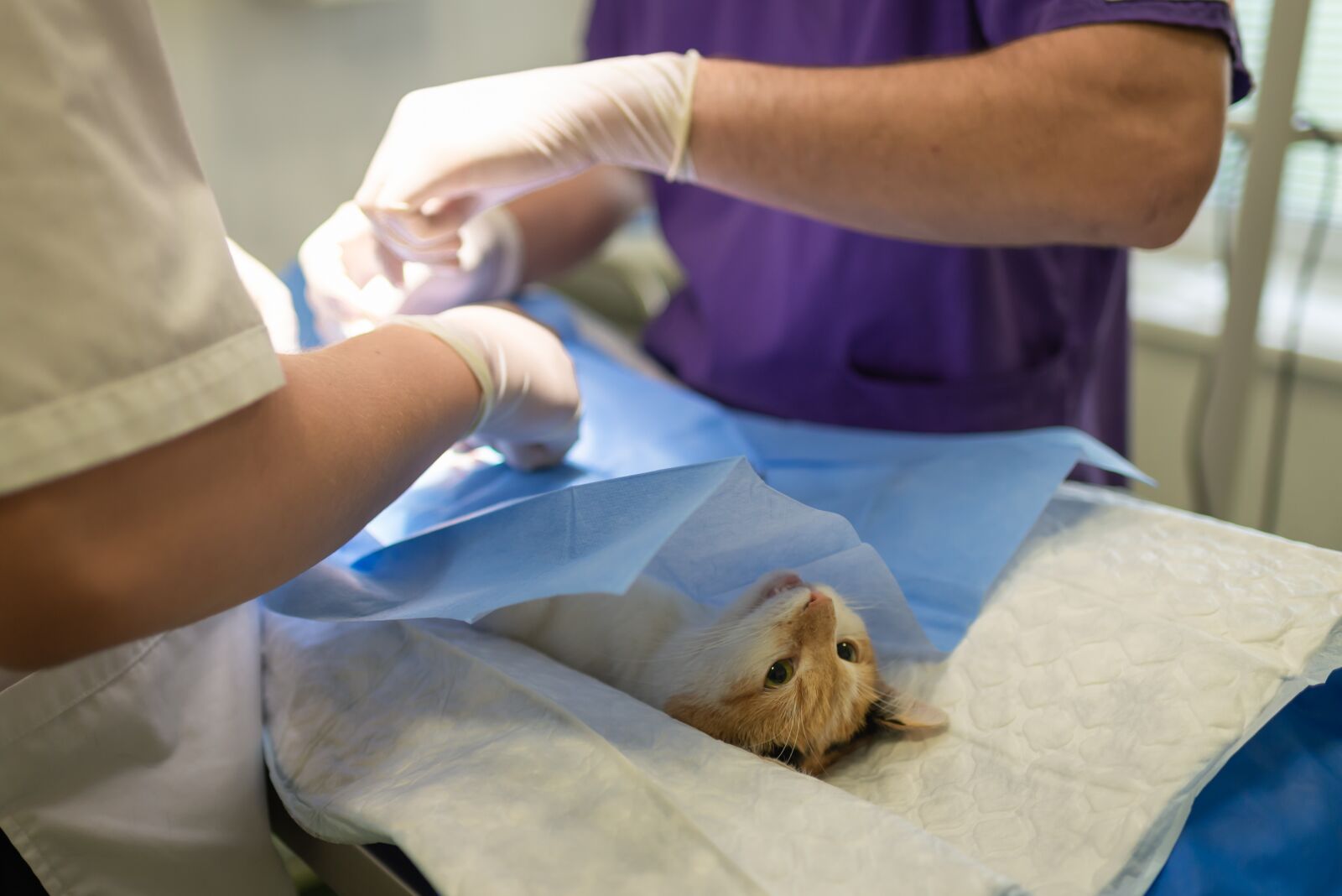 Nikon D610 sample photo. Health, hospital, medicine photography