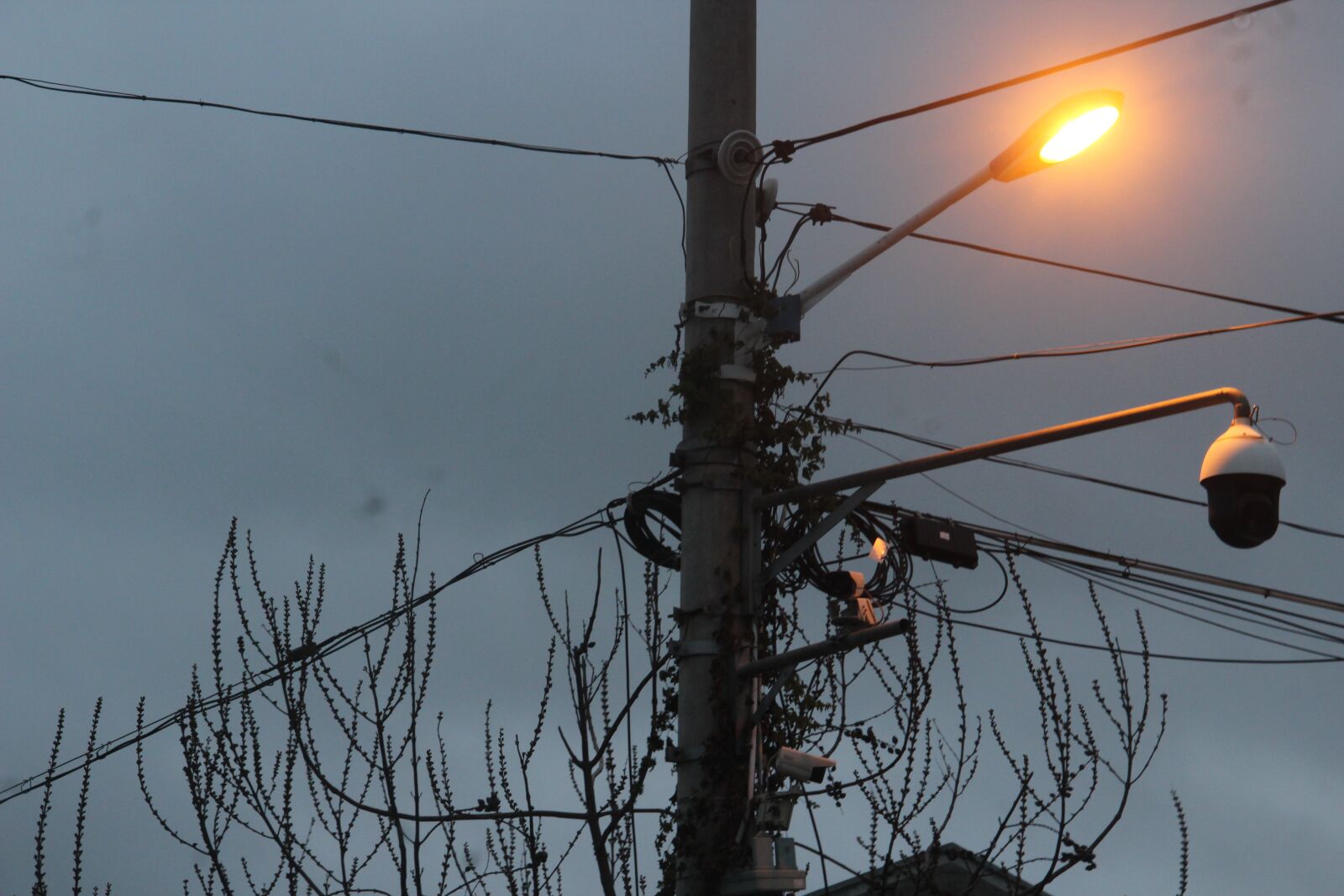 Canon EOS 600D (Rebel EOS T3i / EOS Kiss X5) sample photo. Twilight, lamp, telephone poles photography