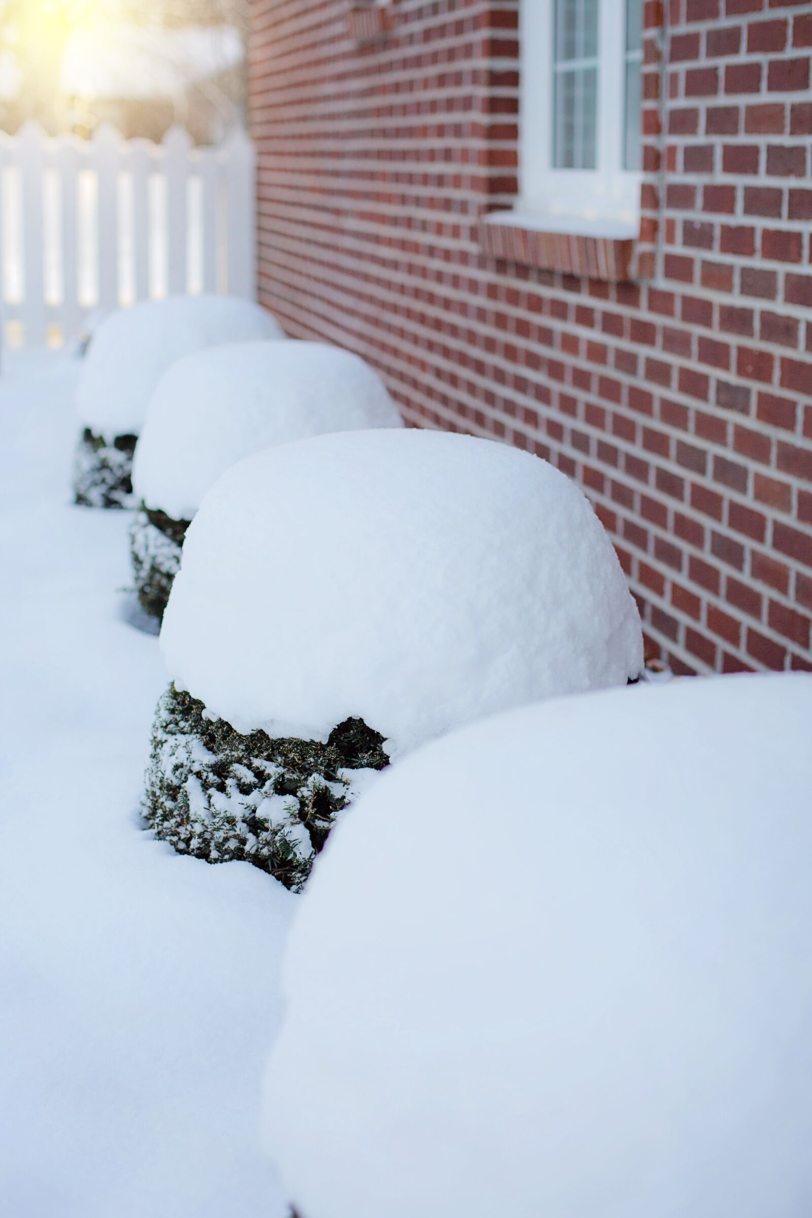 Canon EF 50mm F1.4 USM sample photo. Heavy snow, snow, snow photography