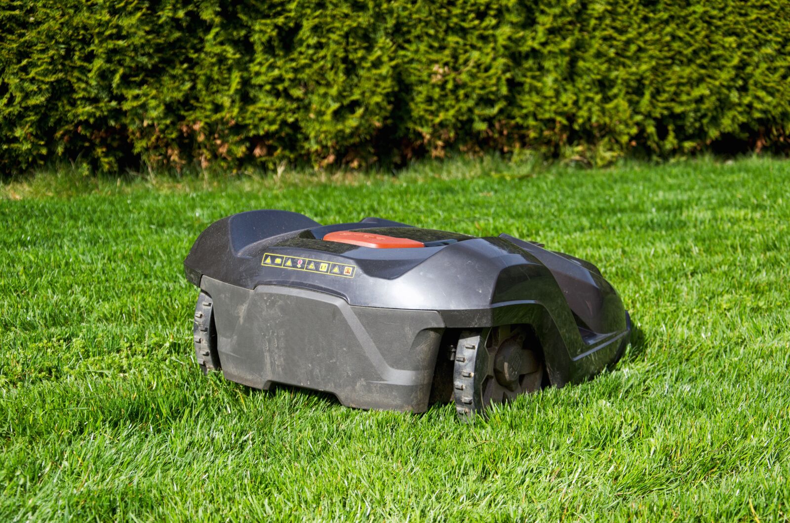 Nikon D5100 sample photo. Grass, rush, summer photography