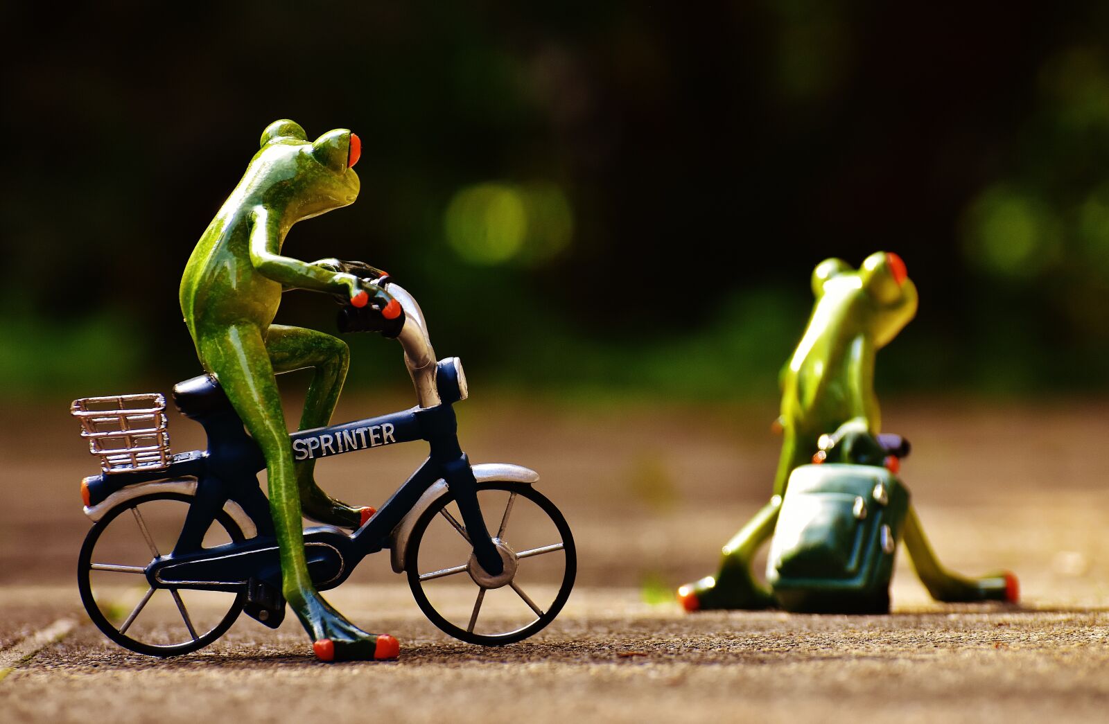Nikon D7200 sample photo. Frogs, farewell, bike photography