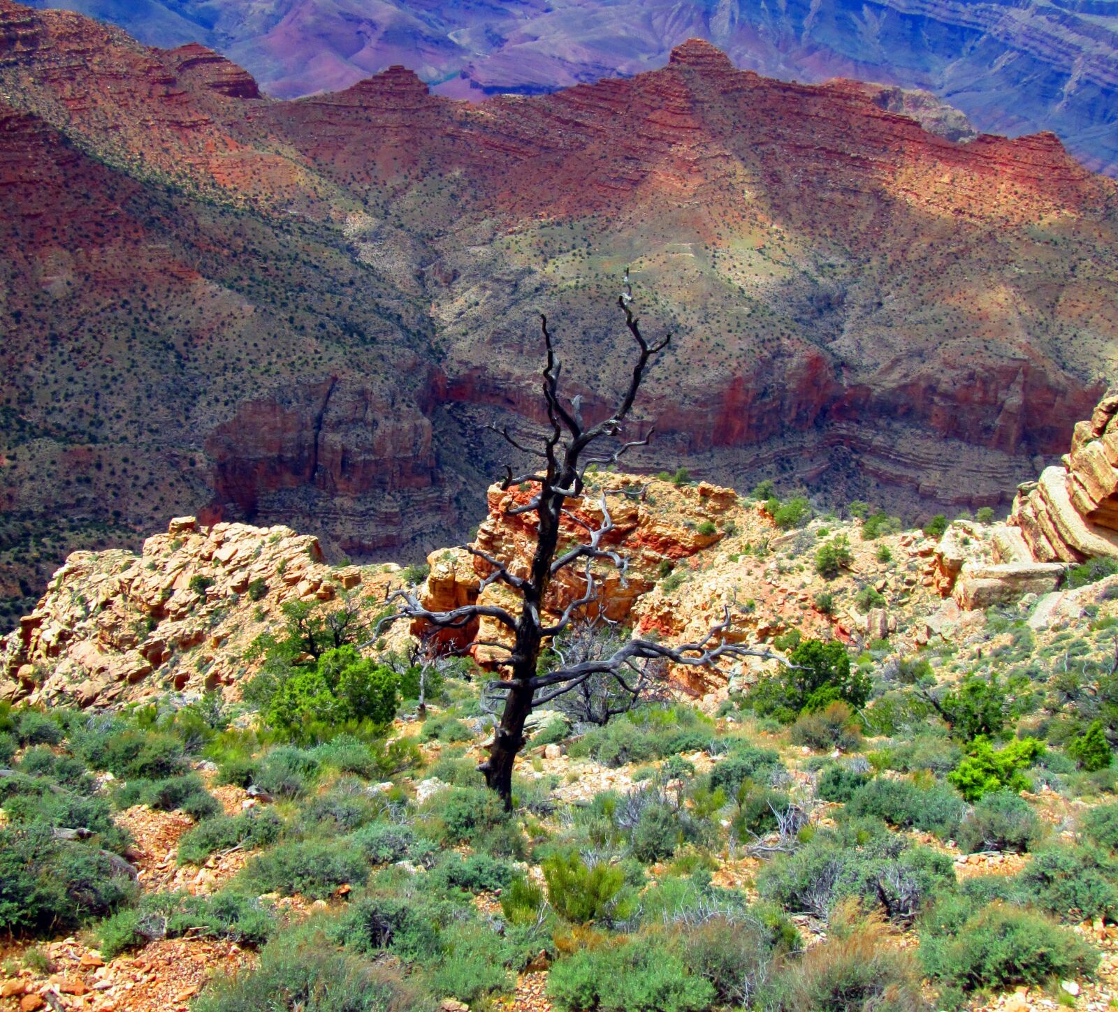 Canon PowerShot A3400 IS sample photo. Grand canyon, arizona, canyon photography