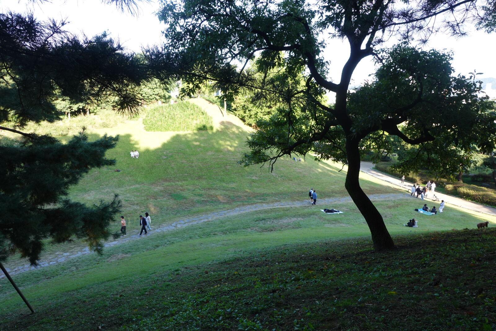 Sony ZV-1 sample photo