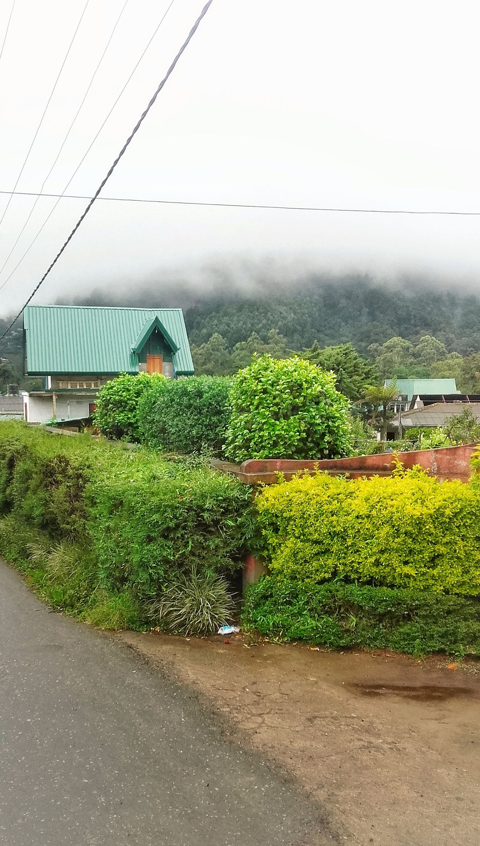 Samsung Galaxy Grand Prime sample photo. Beauty, green, home, landscaping photography