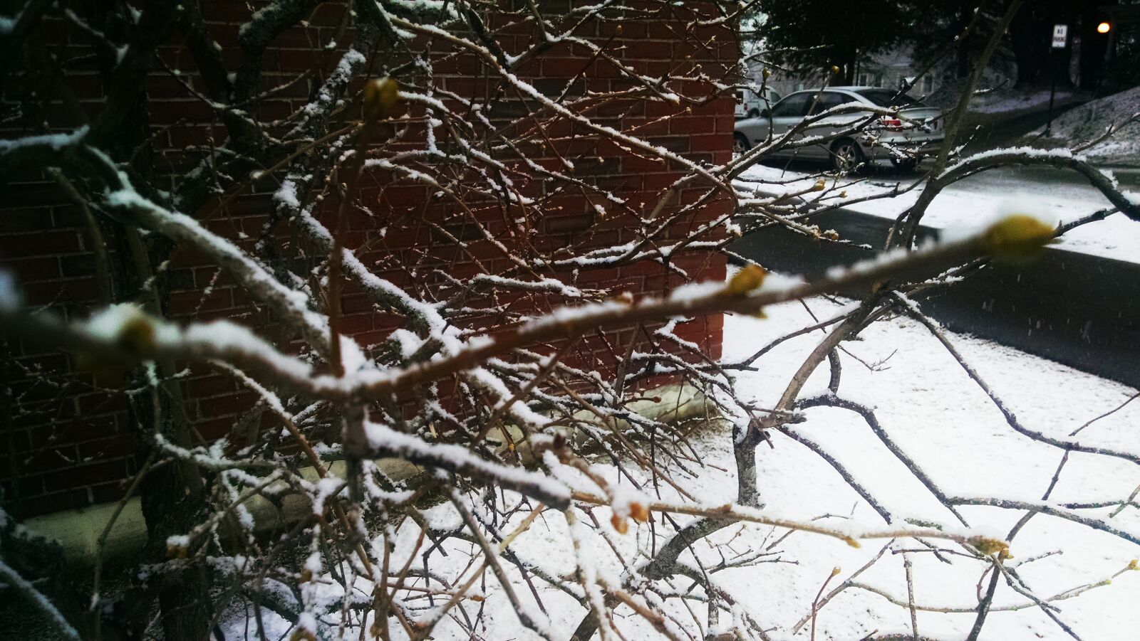 Motorola Moto X (1st Gen) sample photo. Branches, brick, dusting, snow photography