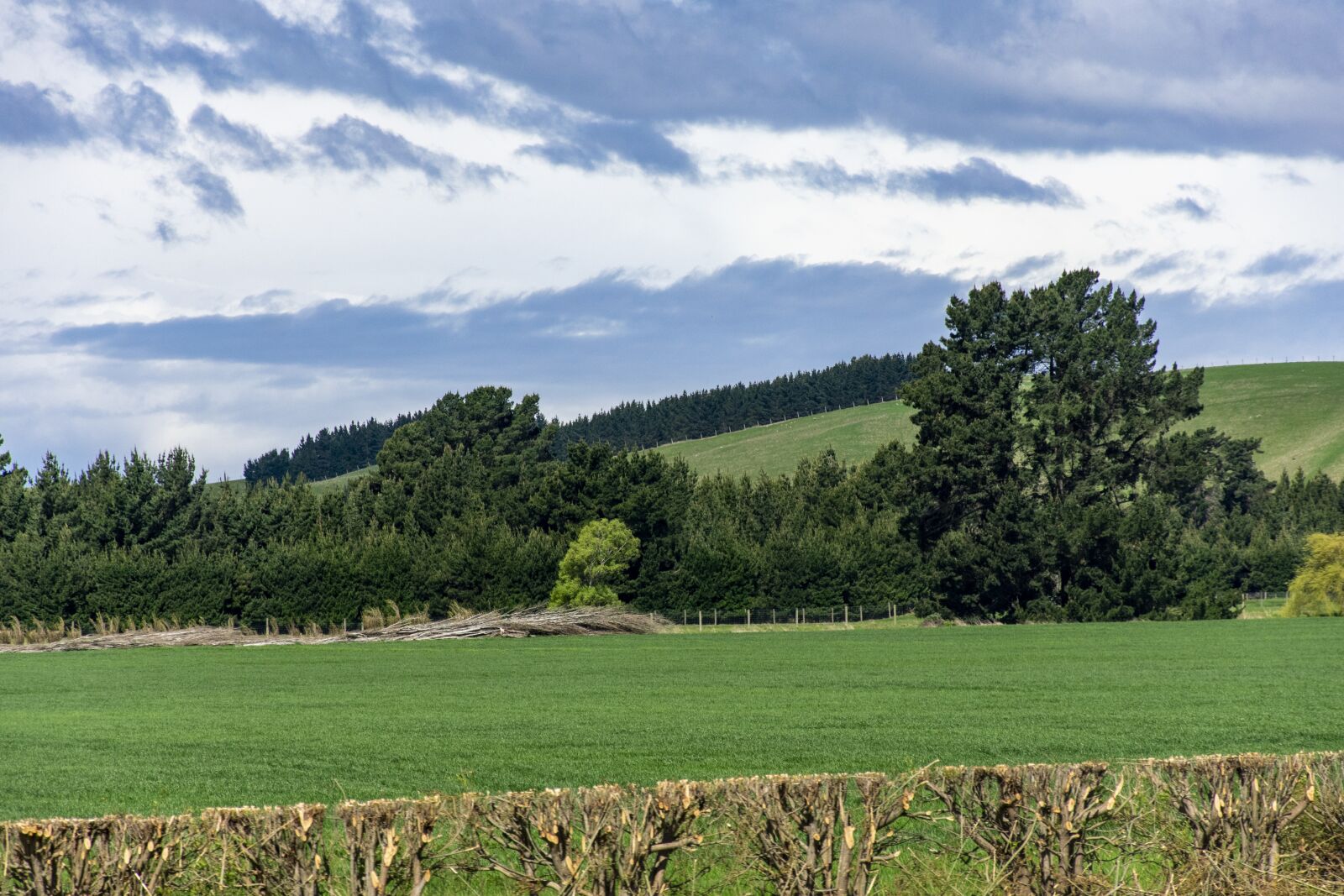 Nikon D3400 sample photo. Otago, new zealand, travel photography