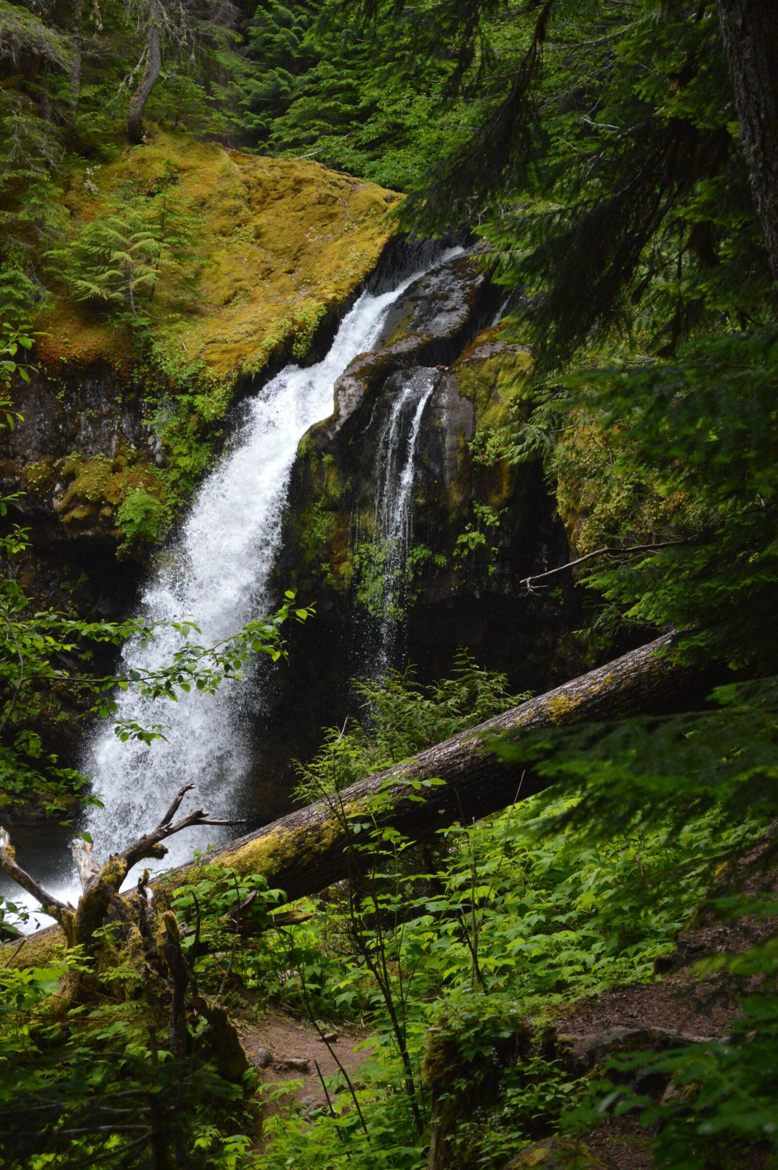 Nikon D3200 sample photo. Waterfalls, falls, woods photography