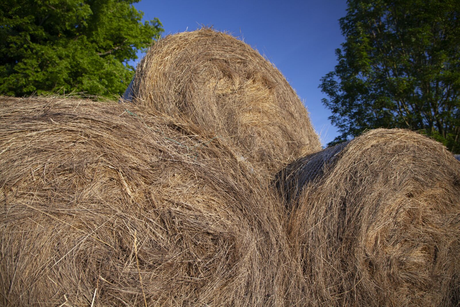 Canon EOS 5D Mark II sample photo. Hay, bales, harvest photography