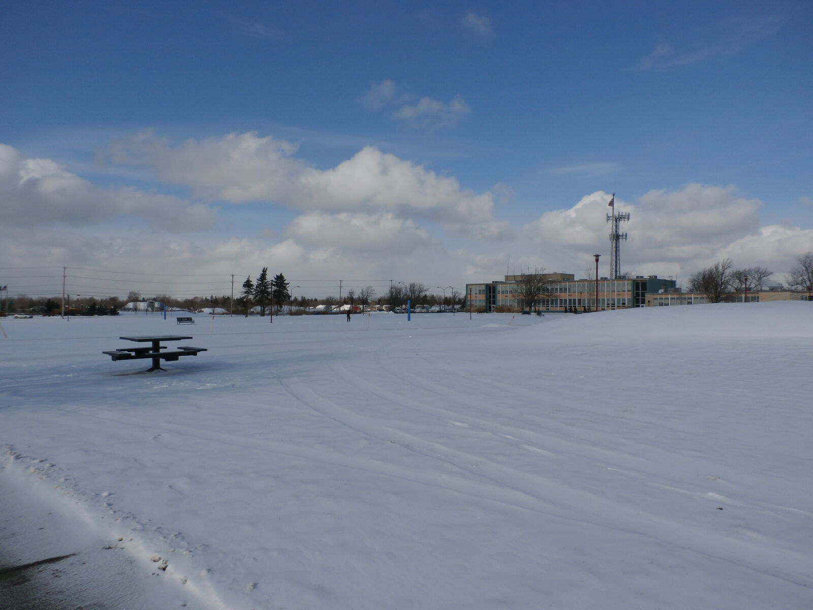 Olympus SZ-15,DZ-100 sample photo. Buffalo, international, airport photography