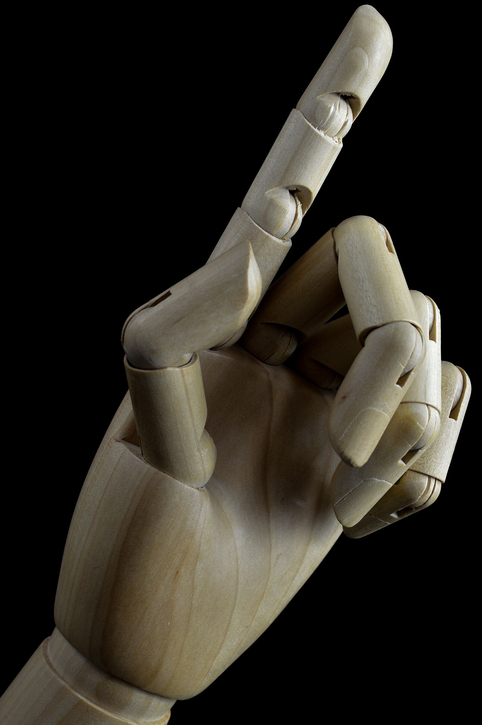Nikon D3200 sample photo. Hand, finger, indicate the photography