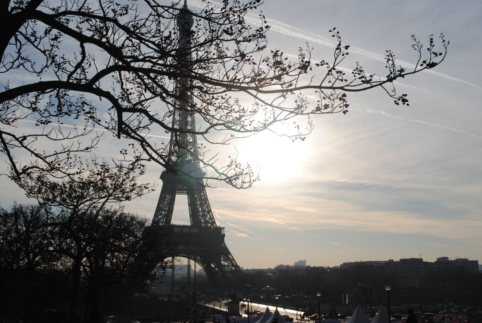 Nikon D3000 sample photo. Paris, tree, eiffel tower photography