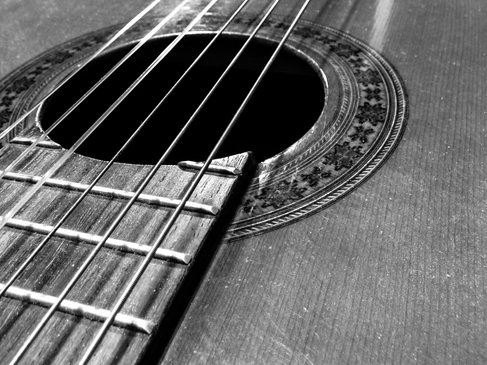Panasonic DMC-FZ72 sample photo. Guitar, musical instrument, loop photography