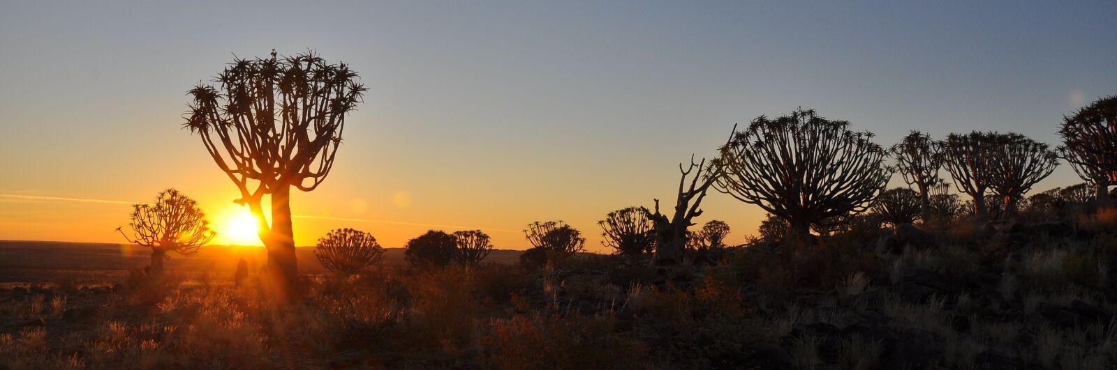 Nikon D90 sample photo. Sunset, dawn, nature photography