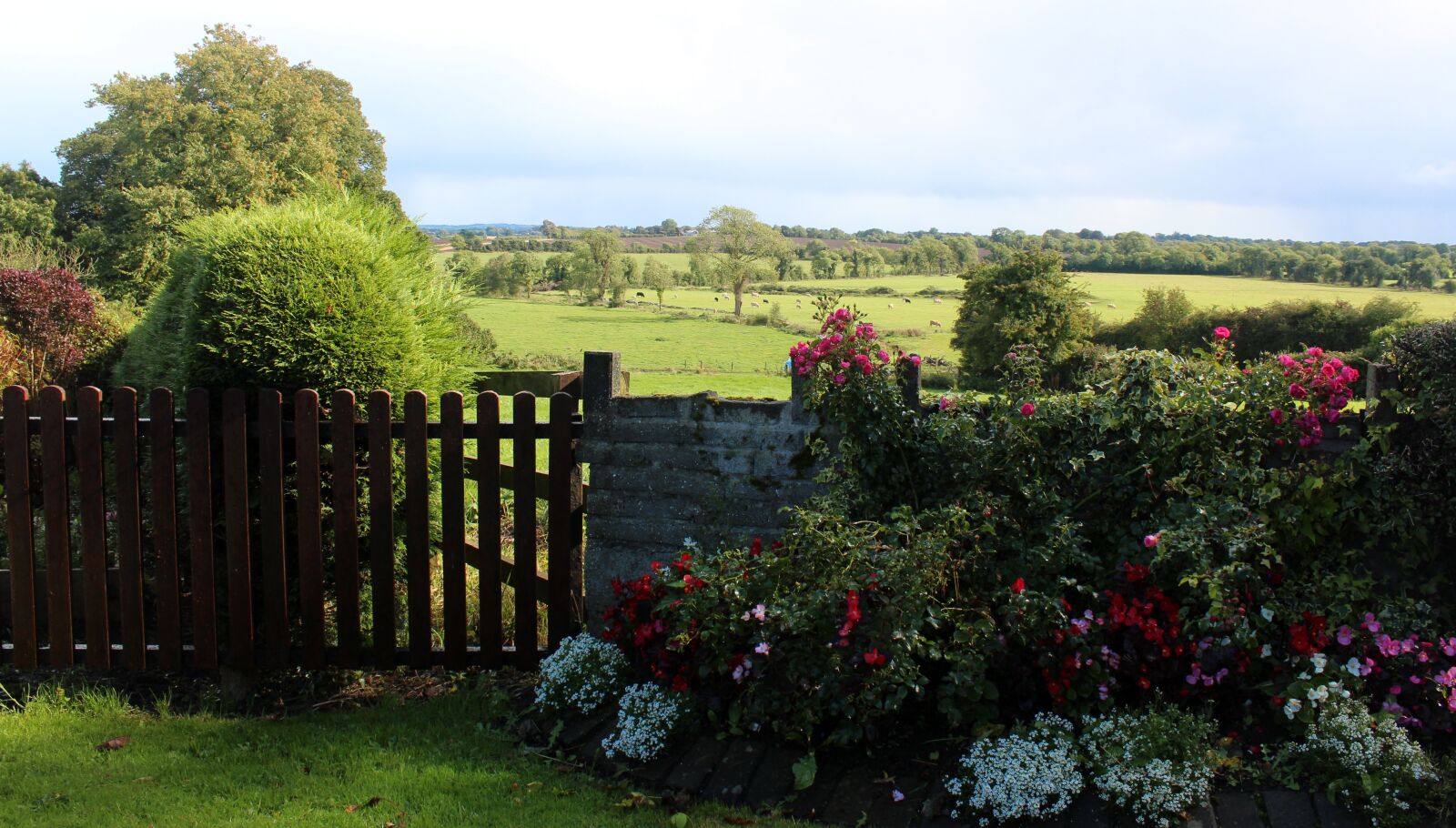 Canon EOS 600D (Rebel EOS T3i / EOS Kiss X5) sample photo. Ireland, scenery, landscape photography