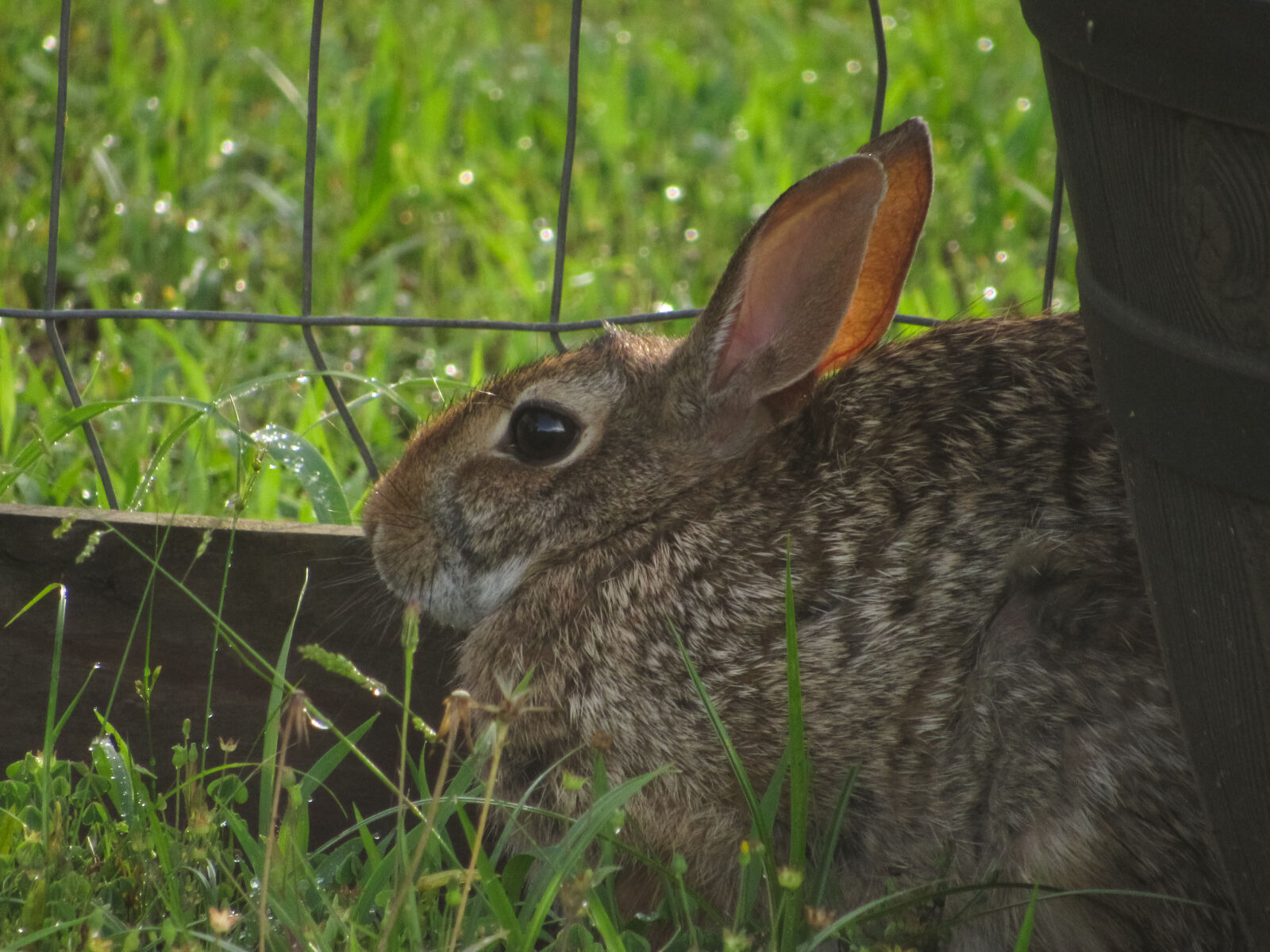 Canon PowerShot SX530 HS sample photo