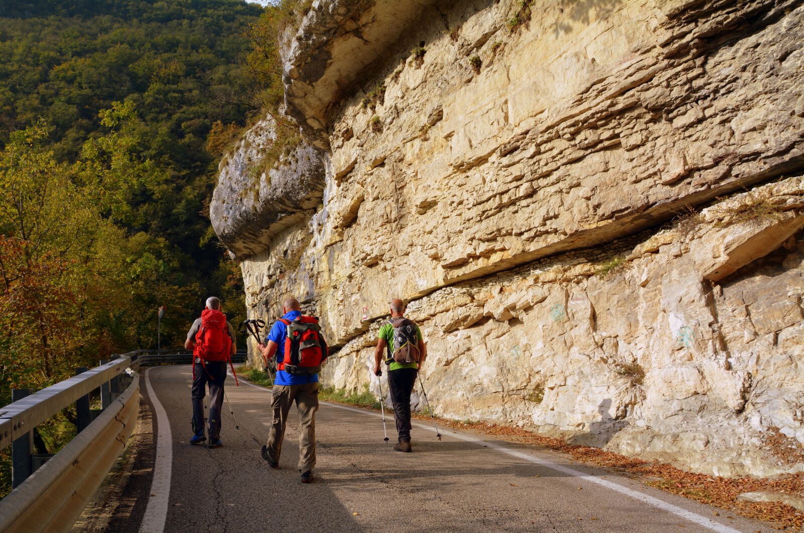 Nikon D7100 sample photo. Excursion, walk, road photography
