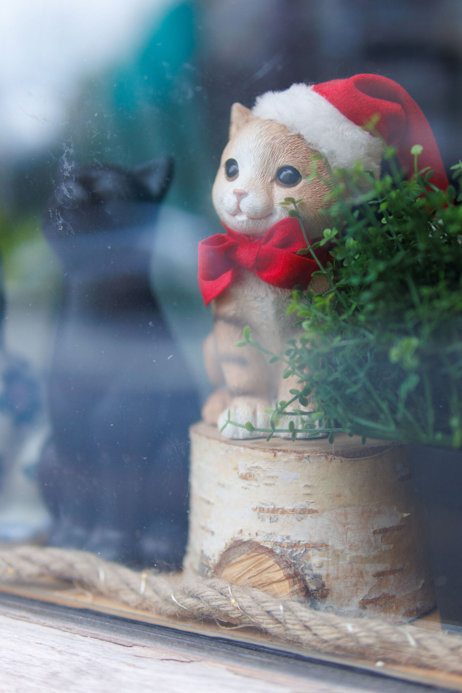 Sigma 30mm F1.4 DC DN | C sample photo. Season decoration window photography
