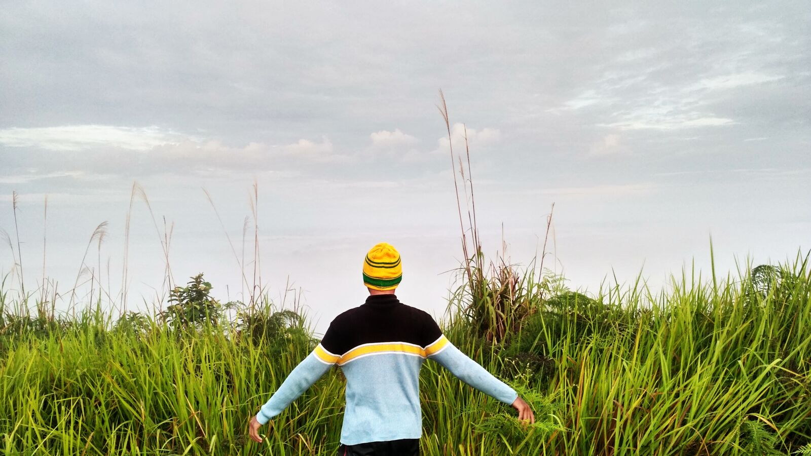 Xiaomi Redmi 3S sample photo. Mountain, grass, south borneo photography