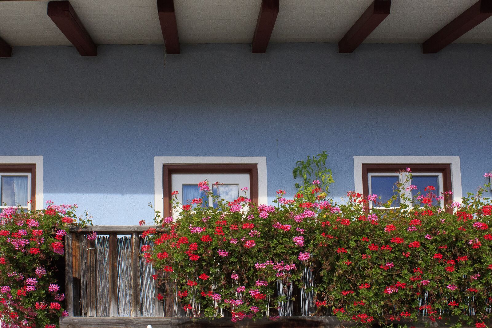 Canon EOS 1300D (EOS Rebel T6 / EOS Kiss X80) sample photo. Balcony, floral decorations, architecture photography