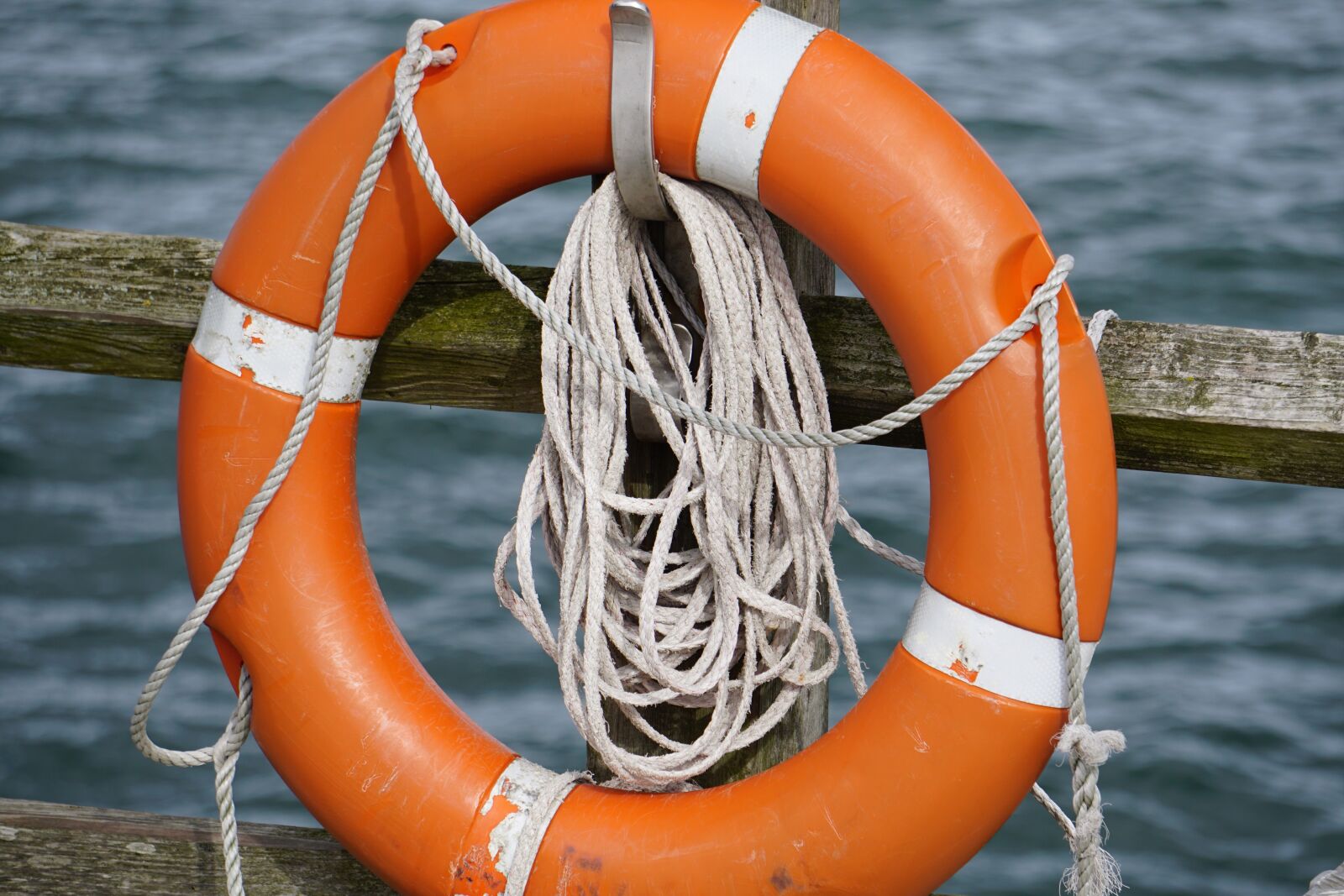 Sony E 55-210mm F4.5-6.3 OSS sample photo. Water, rescue tires, swim photography