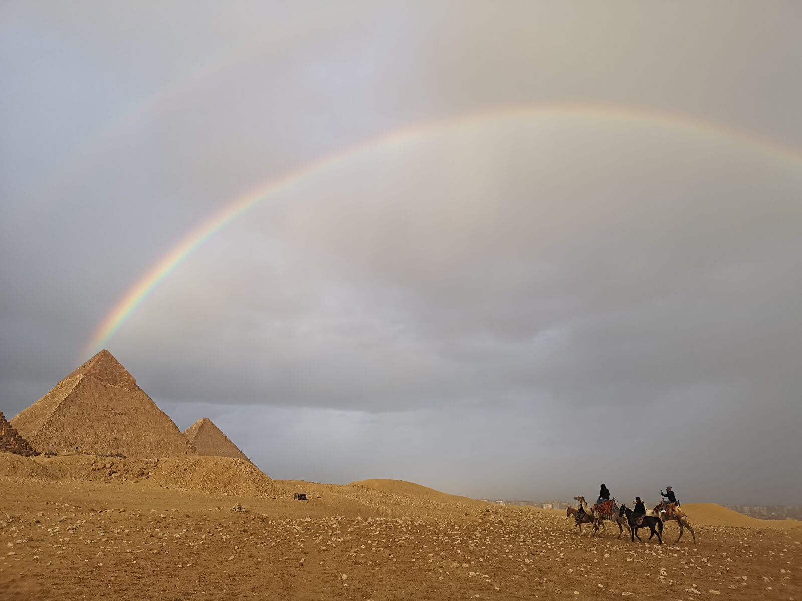 HUAWEI CLT-L29 sample photo. Egypt, camels, desert photography
