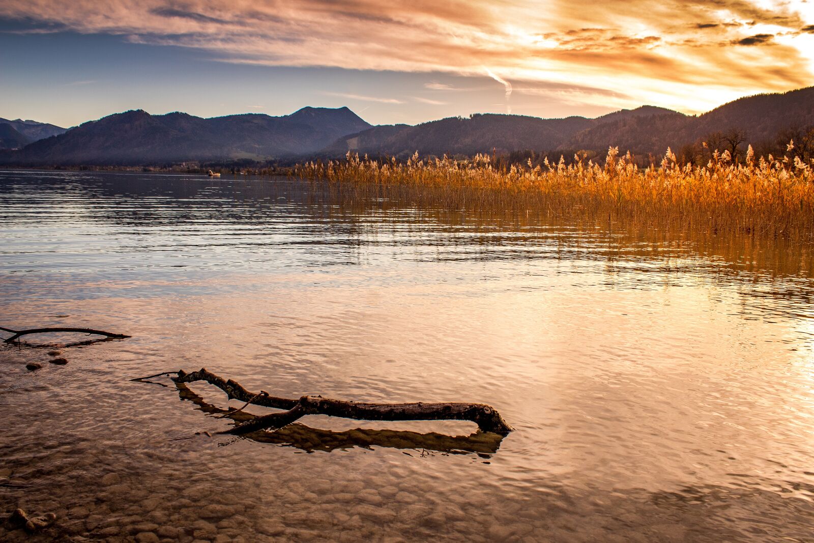 Canon EOS 1300D (EOS Rebel T6 / EOS Kiss X80) sample photo. Lake, alpine, tegernsee photography