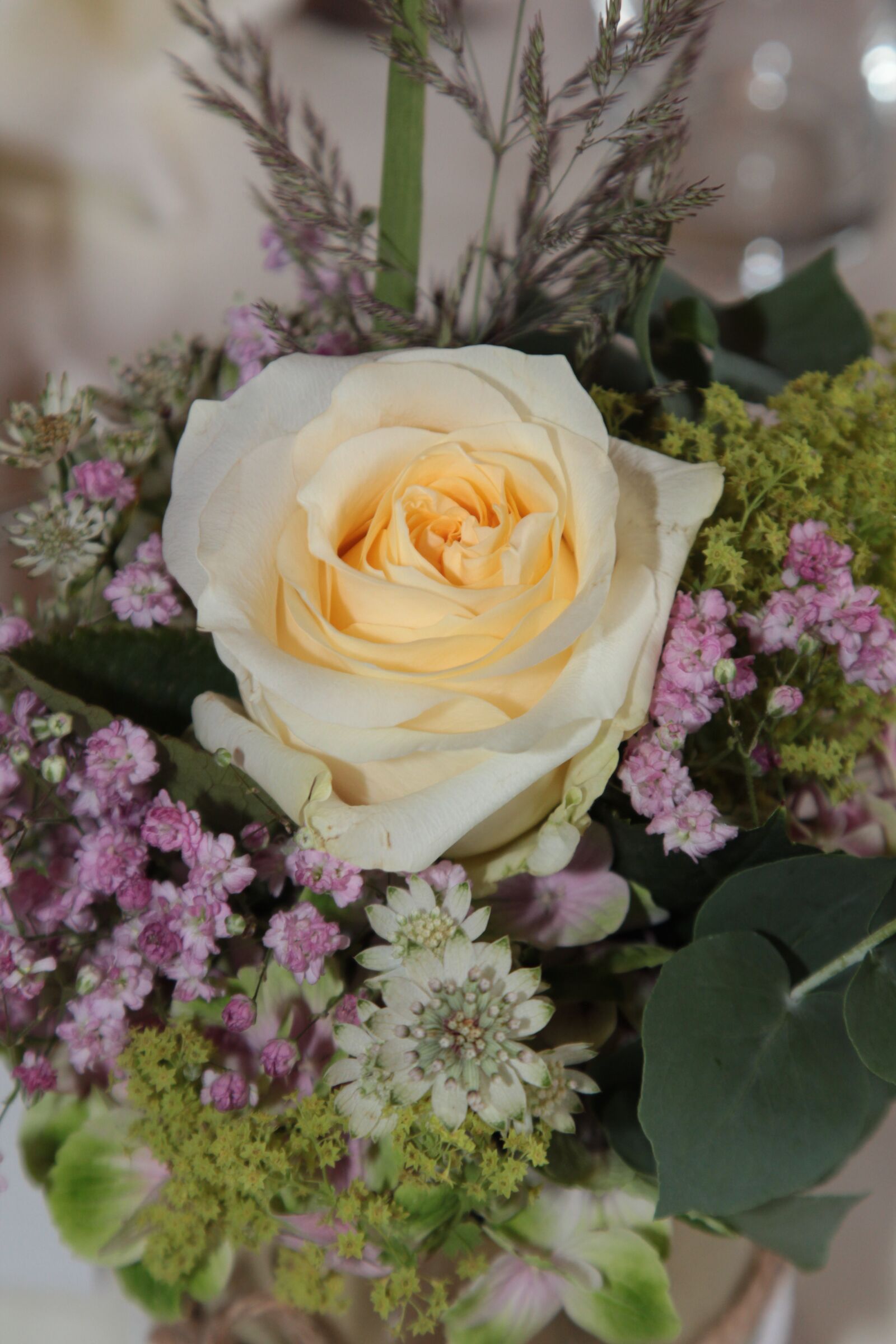 Canon EOS 60D sample photo. Rose, rose petals, yellow photography