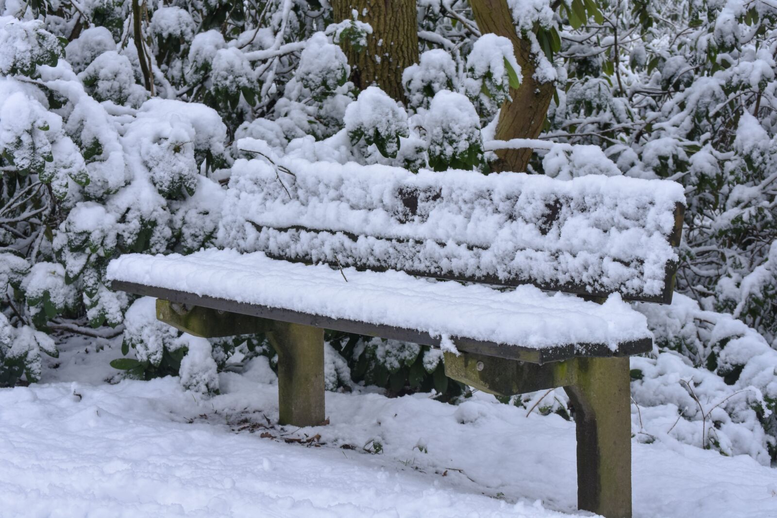 Nikon D7200 sample photo. Bank, snow, cold photography