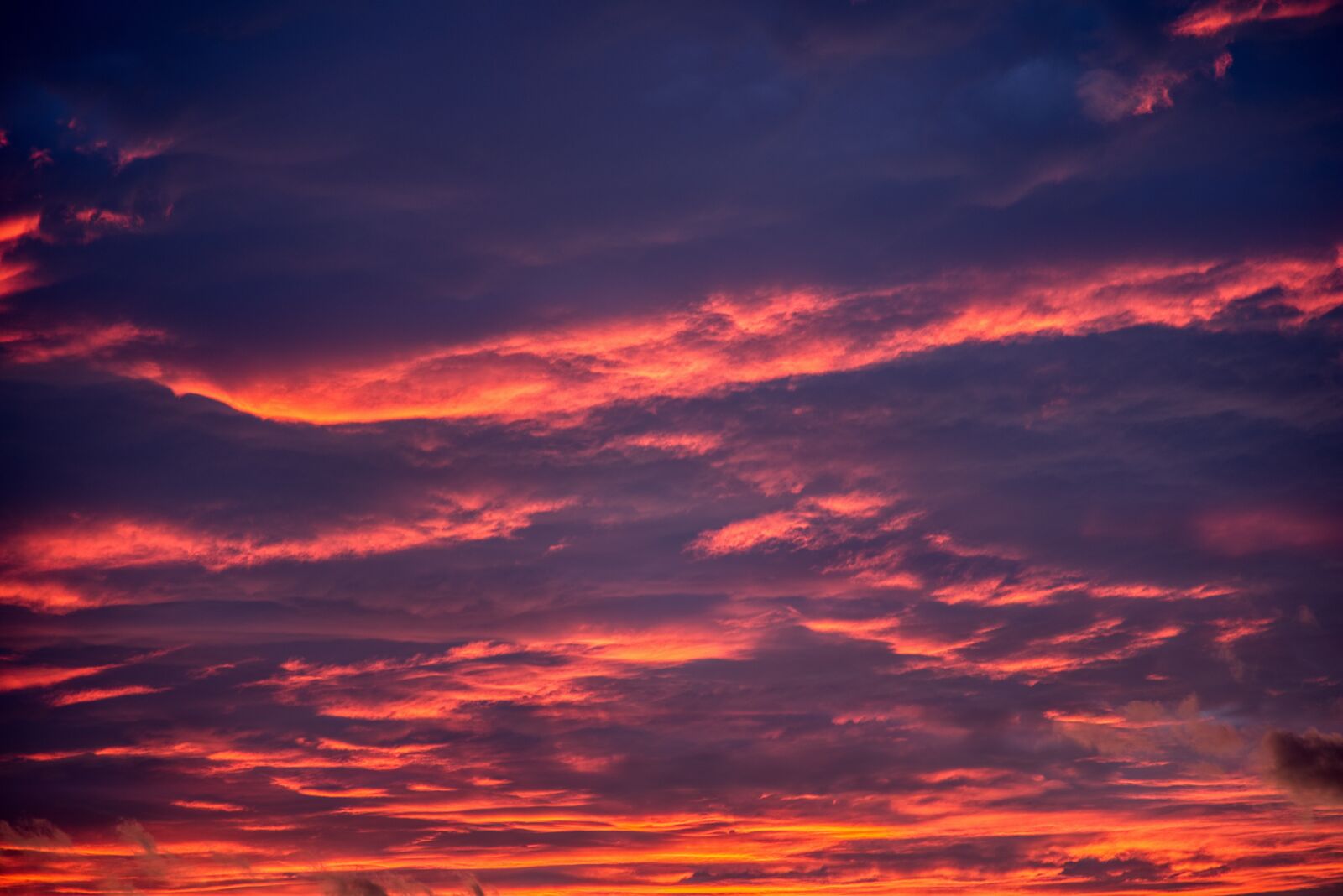 Nikon D750 sample photo. Sky, sunset, clouds photography