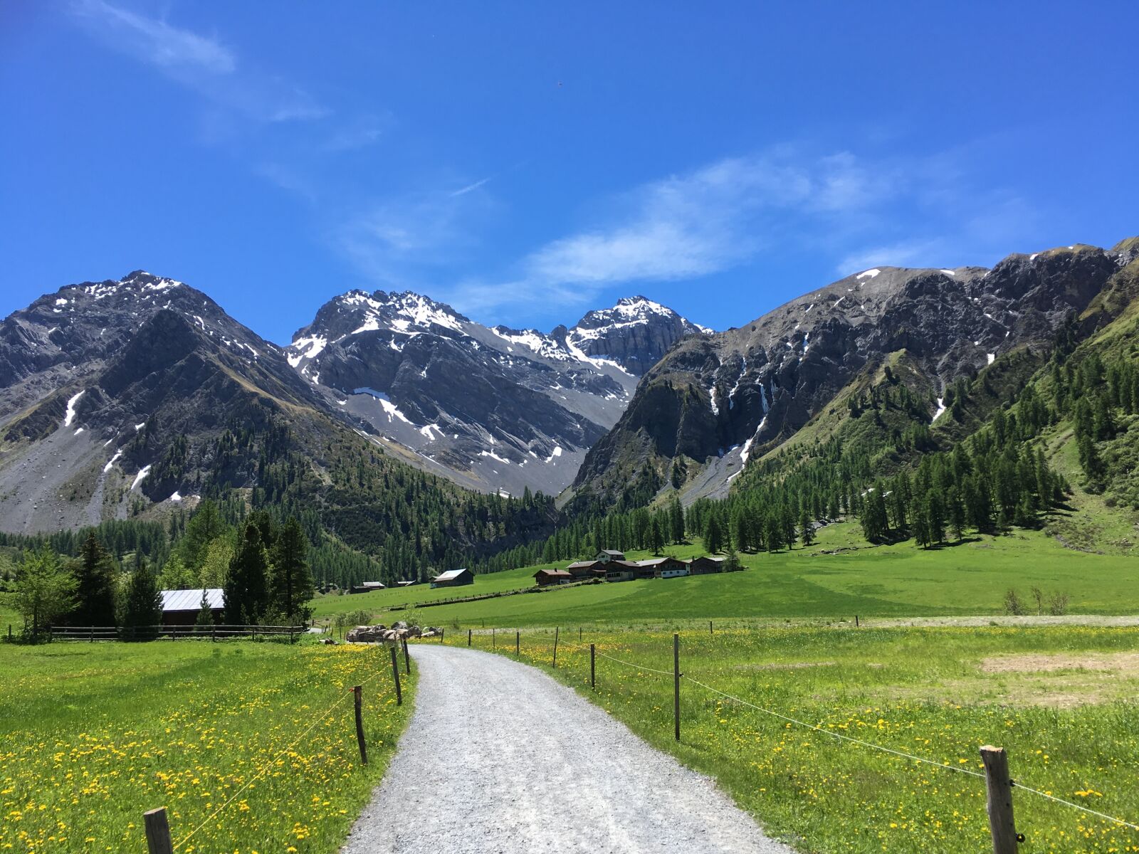 iPhone SE back camera 4.15mm f/2.2 sample photo. Mountains, switzerland, summer day photography