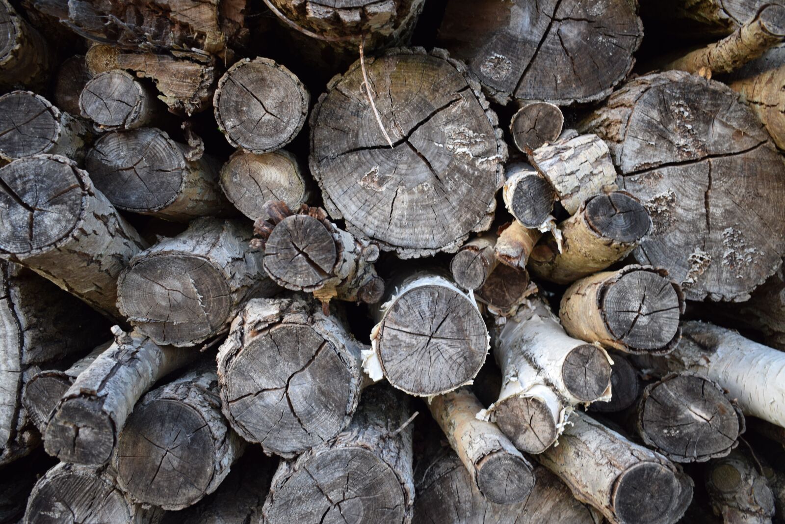 Nikon D3300 sample photo. Logs, wood, timber photography