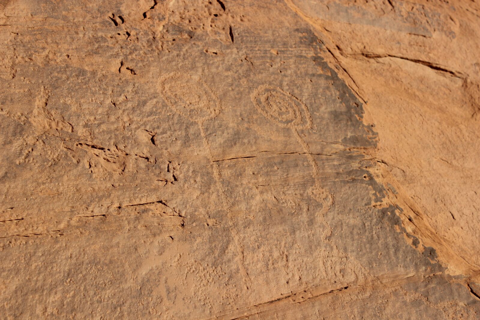Canon EOS 600D (Rebel EOS T3i / EOS Kiss X5) sample photo. Stone, desktop, rock photography