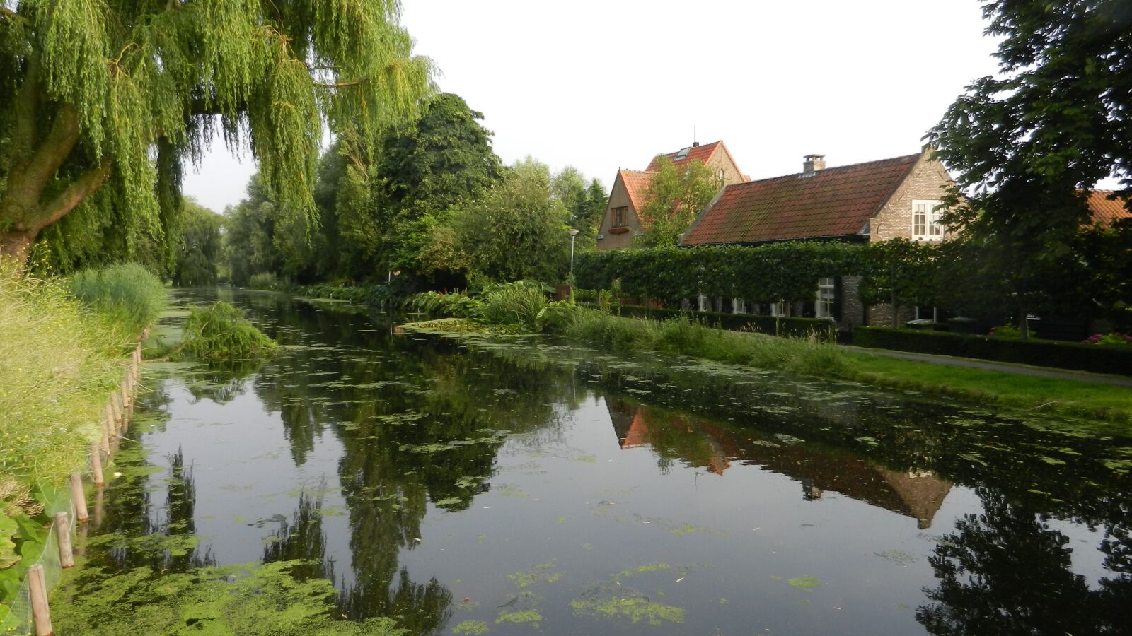 Nikon Coolpix S9100 sample photo. Netherlands, landscape, green photography