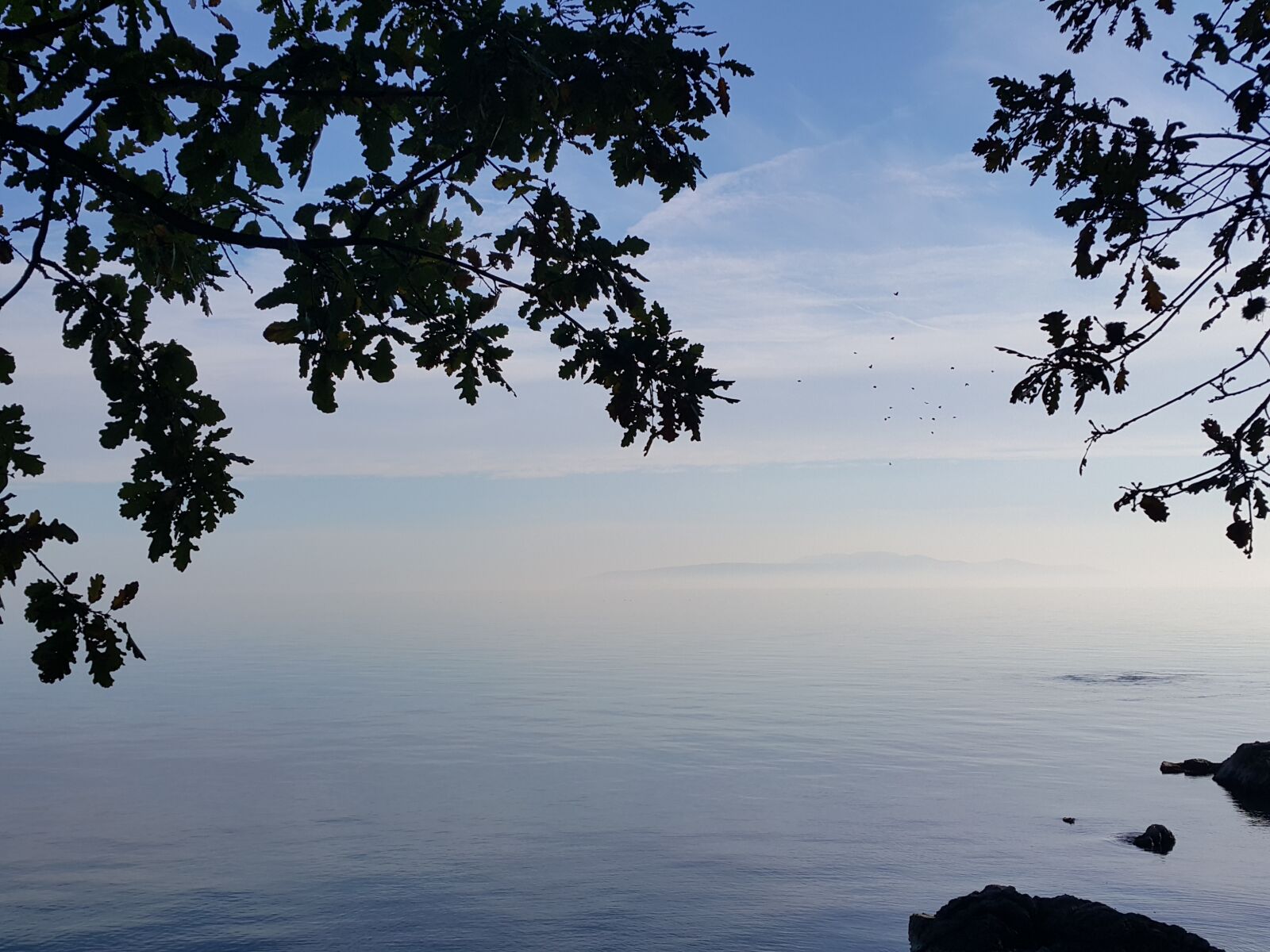 Samsung Galaxy Note4 sample photo. Birds, daydream, island, neverland photography