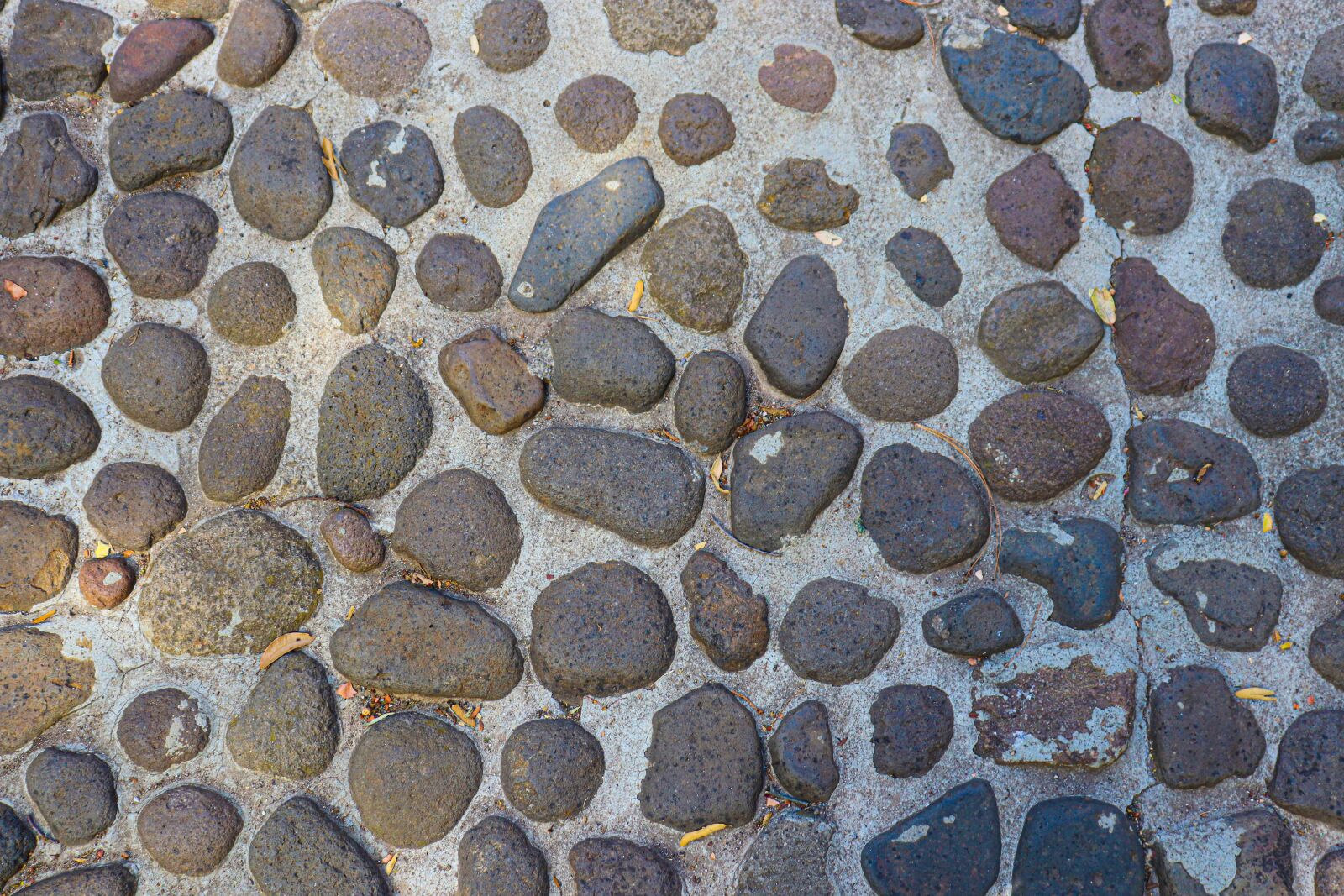 Canon EOS 200D (EOS Rebel SL2 / EOS Kiss X9) sample photo. Texture, stones, floors photography