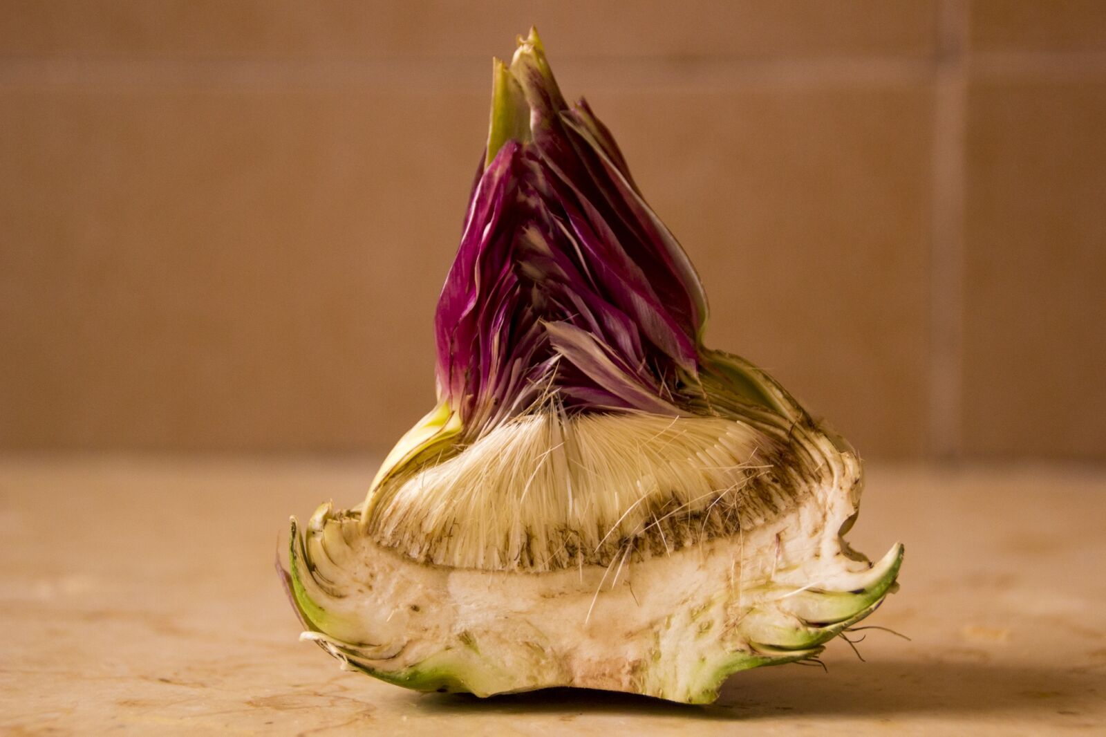 Canon EOS 600D (Rebel EOS T3i / EOS Kiss X5) sample photo. Artichoke, cut artichoke, vegetable photography